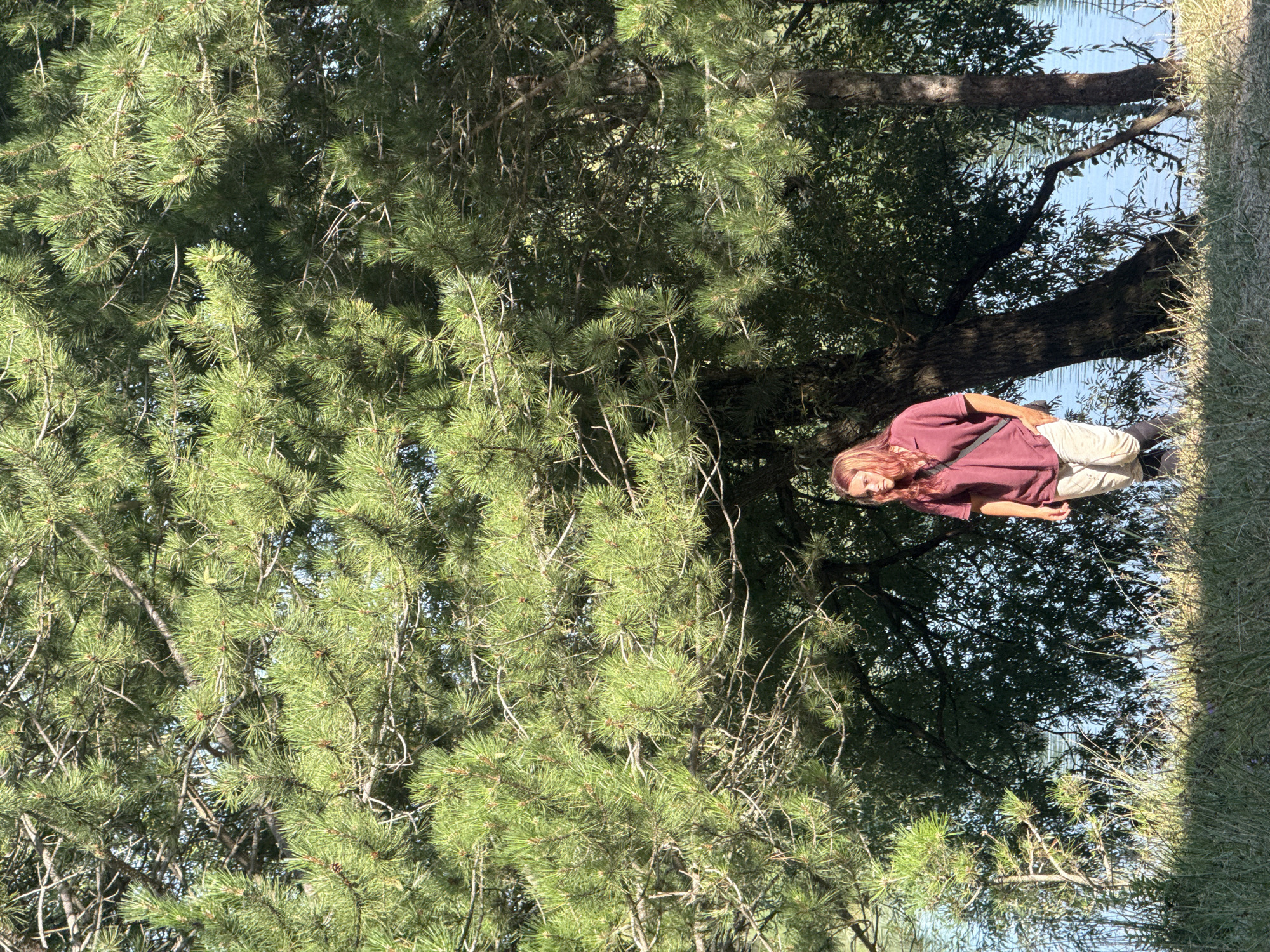 A young person with red hair stands on a grassy bank next to a large pine tree. The person is wearing a maroon polo shirt and light-colored pants, with a strap from a bag visible over their shoulder. The background shows a body of water, likely a lake or river, with reflections of trees and sky. The location is the city of Zaprudnoe, Ukraine. The scene is illuminated by natural daylight, casting shadows from the trees onto the ground.