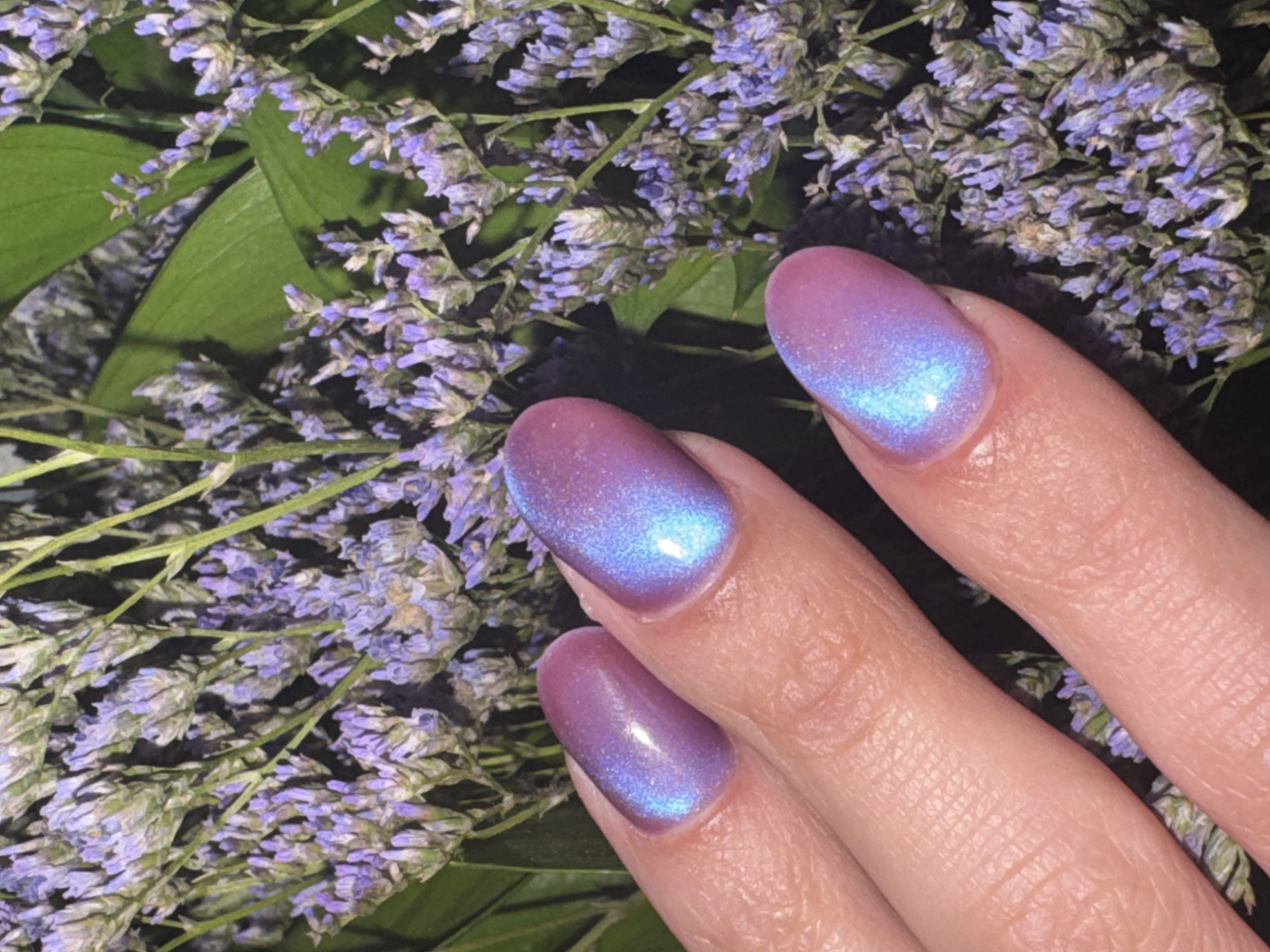 The image depicts a hand with three fingers visible, adorned with painted nails in a color-shifting finish of lavender and blue. The hand rests against a backdrop of dried lavender flowers with green leaves. The setting is not evident enough to pinpoint a location in Ramat Gan, Israel, or any other city.