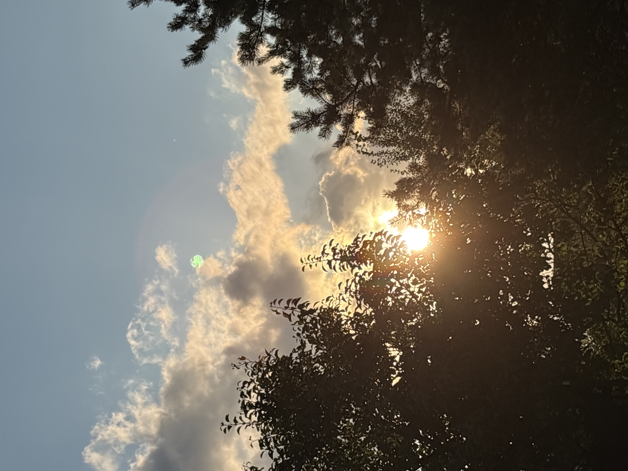 The image depicts a sunset with the sun partially obscured by trees. The sky is a mix of blue and yellow, with scattered clouds illuminated by the setting sun. There is a faint rainbow arc visible in the upper portion of the sky. In the foreground, the silhouettes of trees with dense foliage are visible, with some sunlight filtering through the leaves. The scene appears to be outdoors, possibly in a park or natural area. There are no people or animals present in the image.