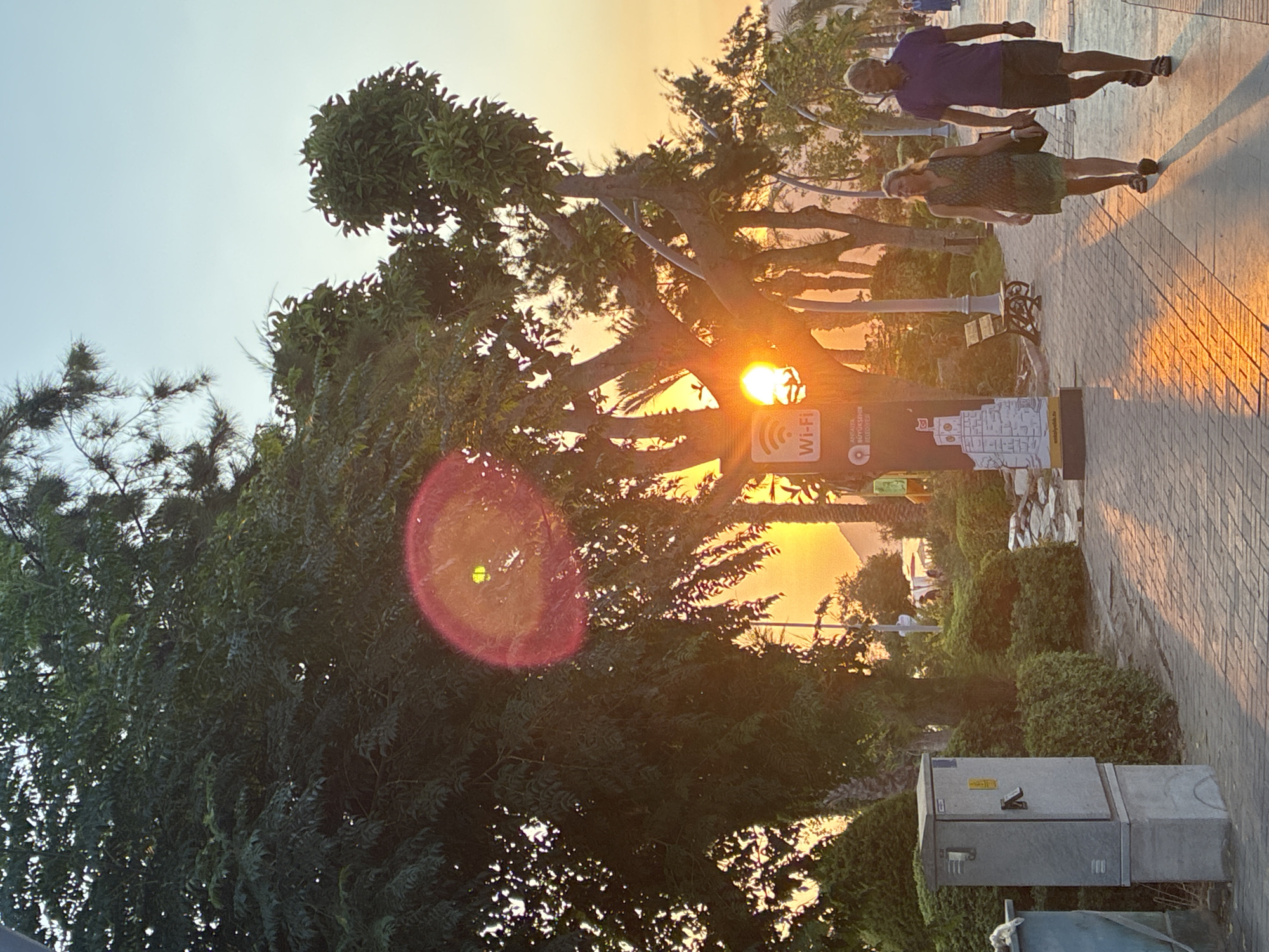 An elderly couple walks hand-in-hand on a brick pathway in Alanya, Turkey, during sunset. The warm, golden light of the setting sun casts long shadows across the path and illuminates the lush green trees and bushes lining the walkway. A large electrical box stands to the left of the path. A sign advertising "Wi-Fi" and an image of a castle are visible behind the couple. The couple is dressed casually for warm weather, and the woman is wearing a patterned dress while the man wears a purple polo shirt and shorts. In the background, more palm trees and distant buildings can be seen, hinting at a coastal or promenade setting.