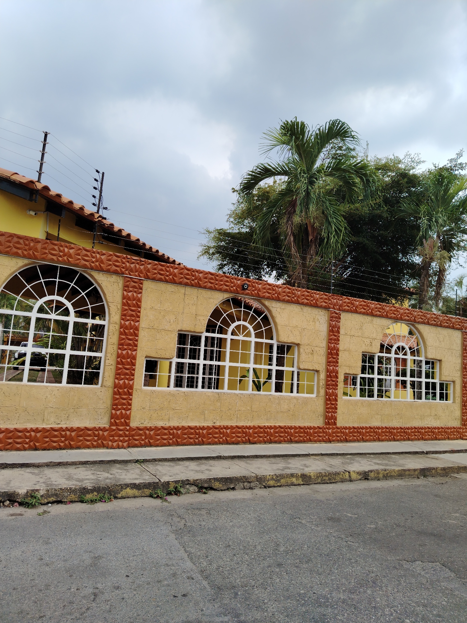 The image shows a street in Tinaquillo, Venezuela. A wall with three arched window openings sits along the sidewalk. The wall is constructed with a tan textured surface, trimmed at the top and bottom with rust-colored geometric patterns. Each window contains a white grid. A building with a yellow exterior is partially visible behind the wall to the left. A red-tiled roof and an electric fence run along the top of the wall and building. Palm trees and other greenery are visible behind the wall and building. The sidewalk is cracked and has some plant growth along the edge. The asphalt street in the foreground shows signs of wear and aging. The sky is overcast.