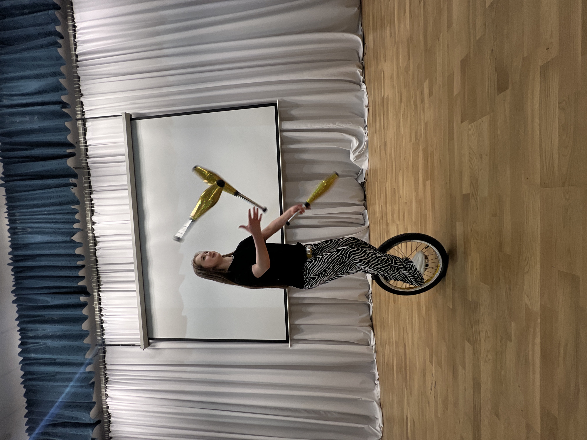 A person is riding a unicycle while juggling gold clubs. The background features a projection screen and white curtains. The flooring is a wooden parquet style. This scene may be in the city of Chaikovsky, Russia.