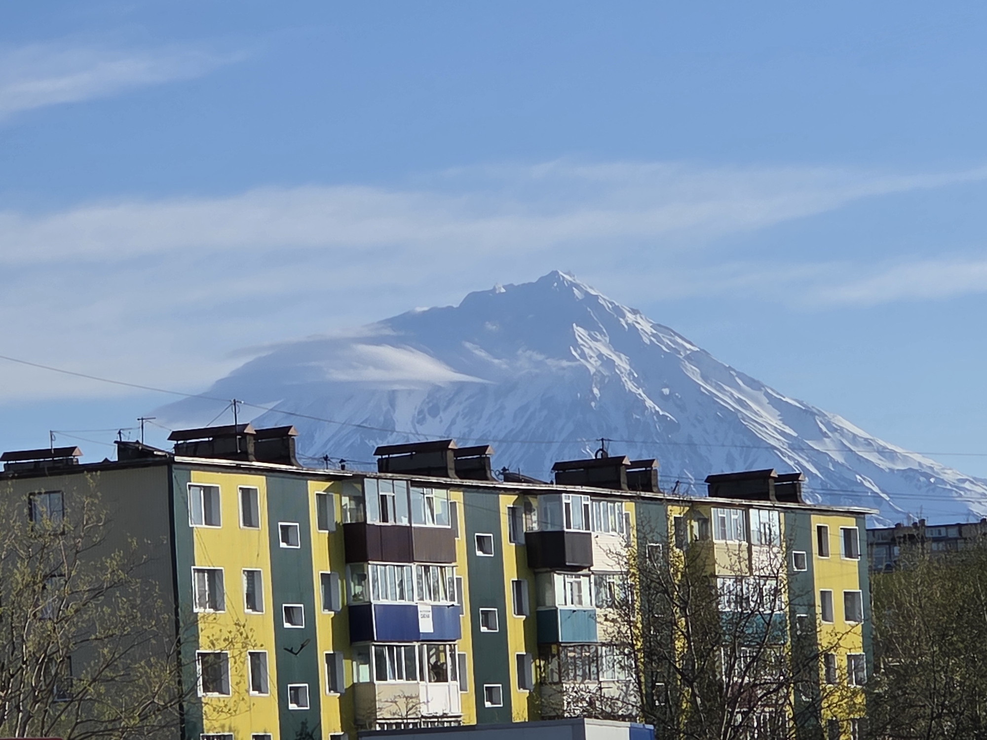 The image captures a yellow and green apartment building in an unidentified city, set against a backdrop of a large, snow-covered mountain. The building features multiple windows, and some balconies are visible with varying color schemes. A scattering of trees with bare branches frames the building. A clear blue sky with sparse clouds hangs above. The mountain looms in the background, its snow-covered peak dominating the skyline.