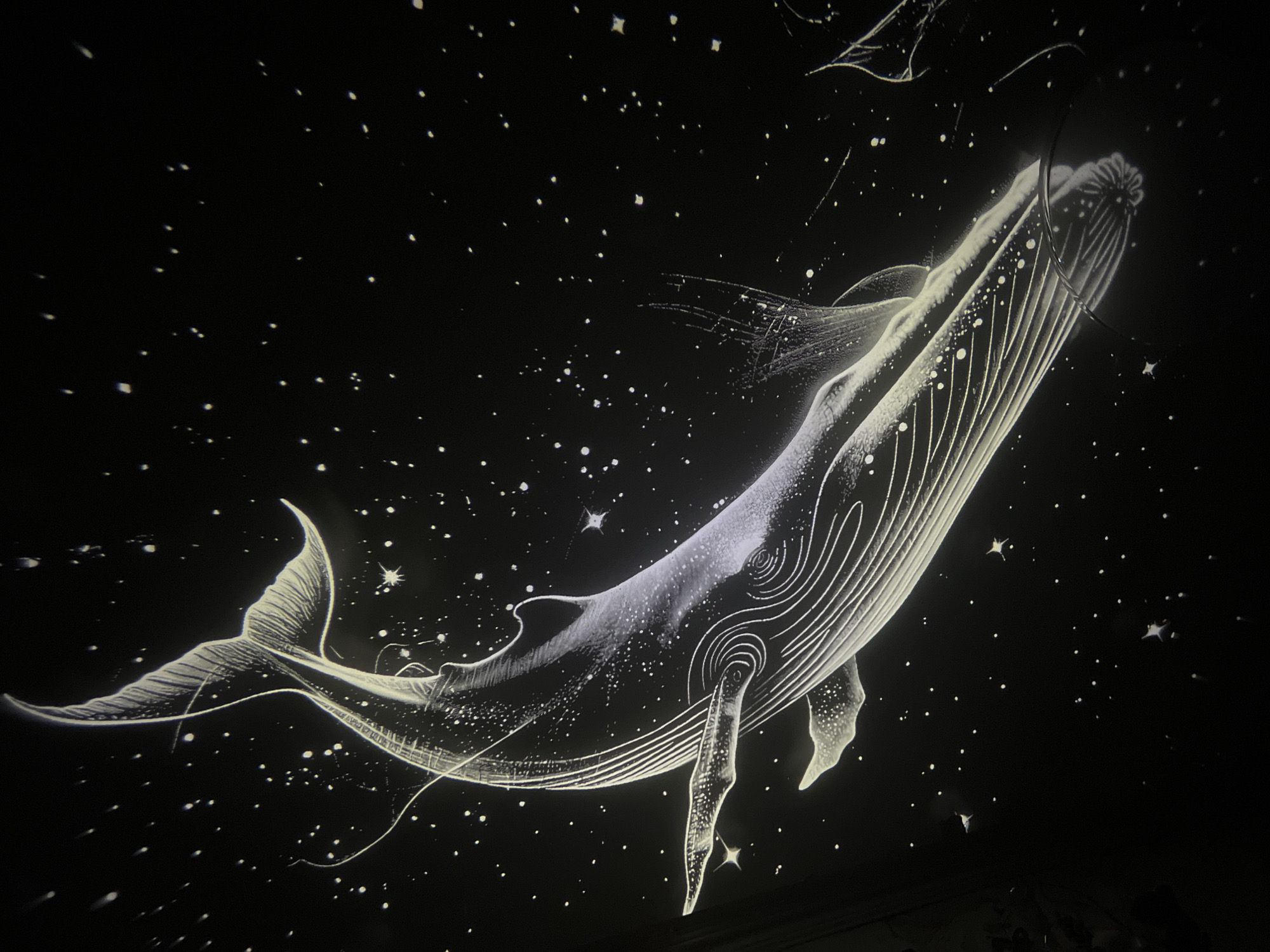 The image depicts a stylized illustration of a humpback whale swimming through a starry night sky. The whale is rendered in white with thin, delicate lines outlining its form, giving it a luminous, ethereal quality. It appears to be floating or "flying" through space, surrounded by numerous small white dots representing stars, some of which are depicted as small star shapes. Delicate, swirling lines emanate from the whale, adding to the sense of movement and wonder.
The overall scene is dark, with a black background that emphasizes the glowing white of the whale and stars. There is no discernible time of day, weather, or specific location cues beyond the cosmic setting. The image evokes a sense of awe, fantasy, and perhaps tranquility, with the whale appearing graceful and majestic against the vastness of the universe. No people or text are visible in the image. The context provided places this image in Chaikovsky, Russia, but there are no visual elements within the image itself that confirm this location.