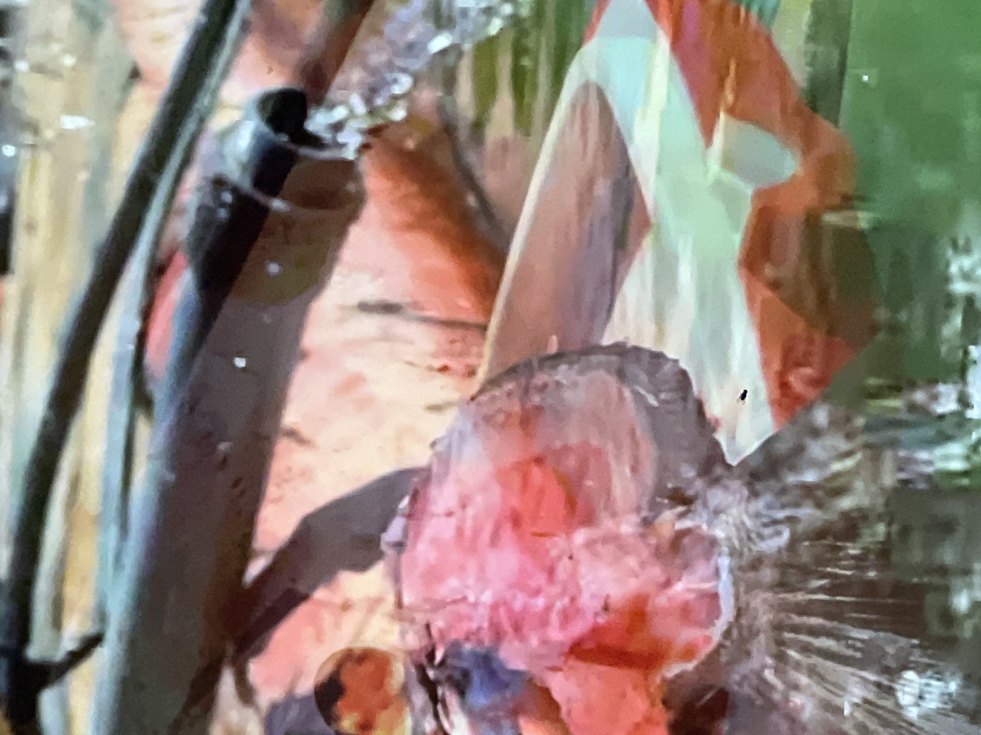 The image depicts a close-up view of water spraying from a black pipe onto a mass of pink and red organic material, possibly flowers or plant matter. The water creates a frothy effect as it hits the surface. In the background, darker, elongated shapes suggest branches or stems. The overall impression is of a dynamic interaction between water and organic elements, with a hint of movement and splashing. The scene is set against a blurred background that includes muted tones of yellow and green. There is no indication of any specific location in Casablanca, Morocco.