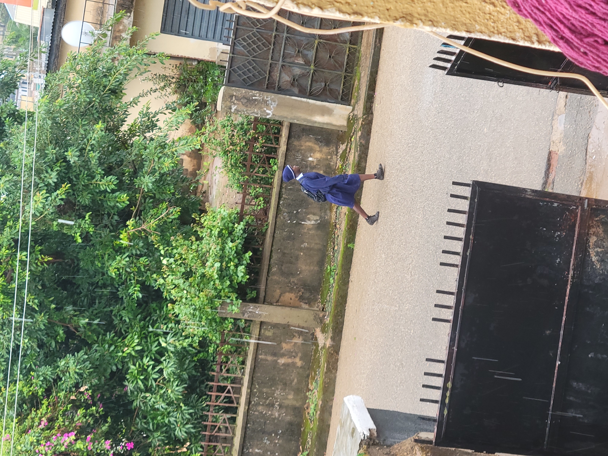 A person wearing a blue uniform, a blue cap, and a backpack walks on a wet asphalt road. The person is walking from left to right. The person is on the right side of the image and is walking in profile. The road is lined with a concrete wall and a decorative metal fence. Behind the fence, there is lush green foliage with some pink flowers. A large metal gate is visible on the right side of the image. The weather appears to be rainy, with visible streaks of rain.