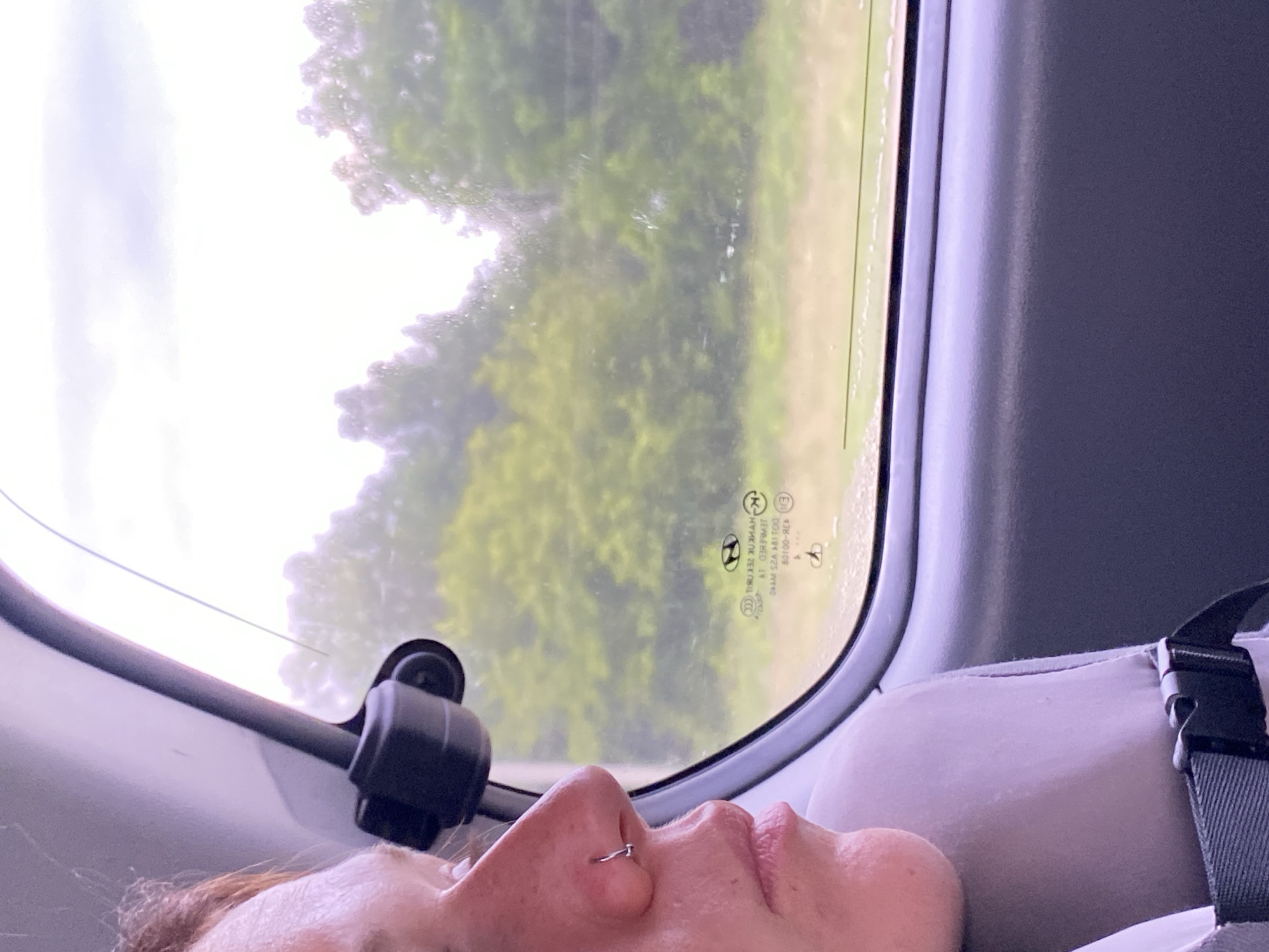 The image shows a close-up profile view of a person's face, including their nose with a small silver hoop piercing, their lips, and part of their cheek, all captured from inside a vehicle. The person is looking out of a window. Through the window, a blurry, green landscape of trees and sky is visible. The window itself has a visible sticker with text and symbols, suggesting it is a vehicle window. The interior of the vehicle is visible around the window and in the foreground, showing a gray seat with a black strap and buckle. The lighting suggests an overcast or hazy day.