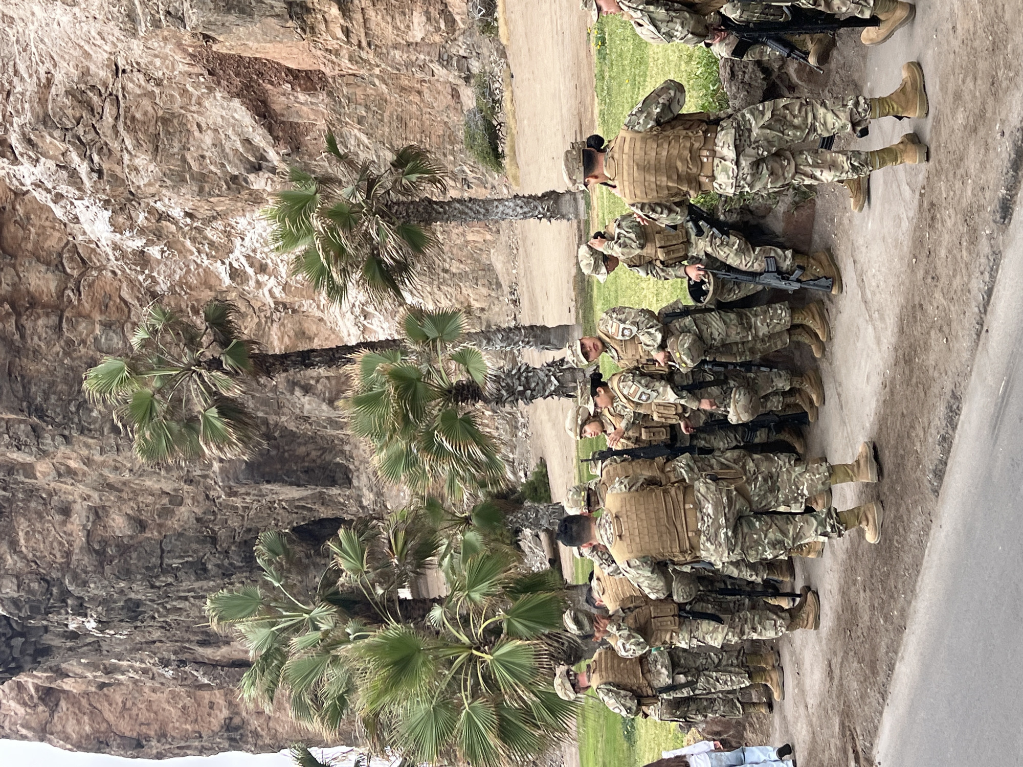 In Arica, Chile, a group of soldiers stands in formation on a dirt path next to a rocky cliff face and palm trees. The soldiers are wearing camouflage uniforms, tactical vests, and helmets, and are armed with rifles. They appear to be engaged in a training exercise or a military operation. The scene suggests a warm, dry climate, likely during the day. The rocky cliffs and palm trees are characteristic of coastal desert environments found in northern Chile. The soldiers' posture and equipment indicate a professional military context. There is no visible text in the image.