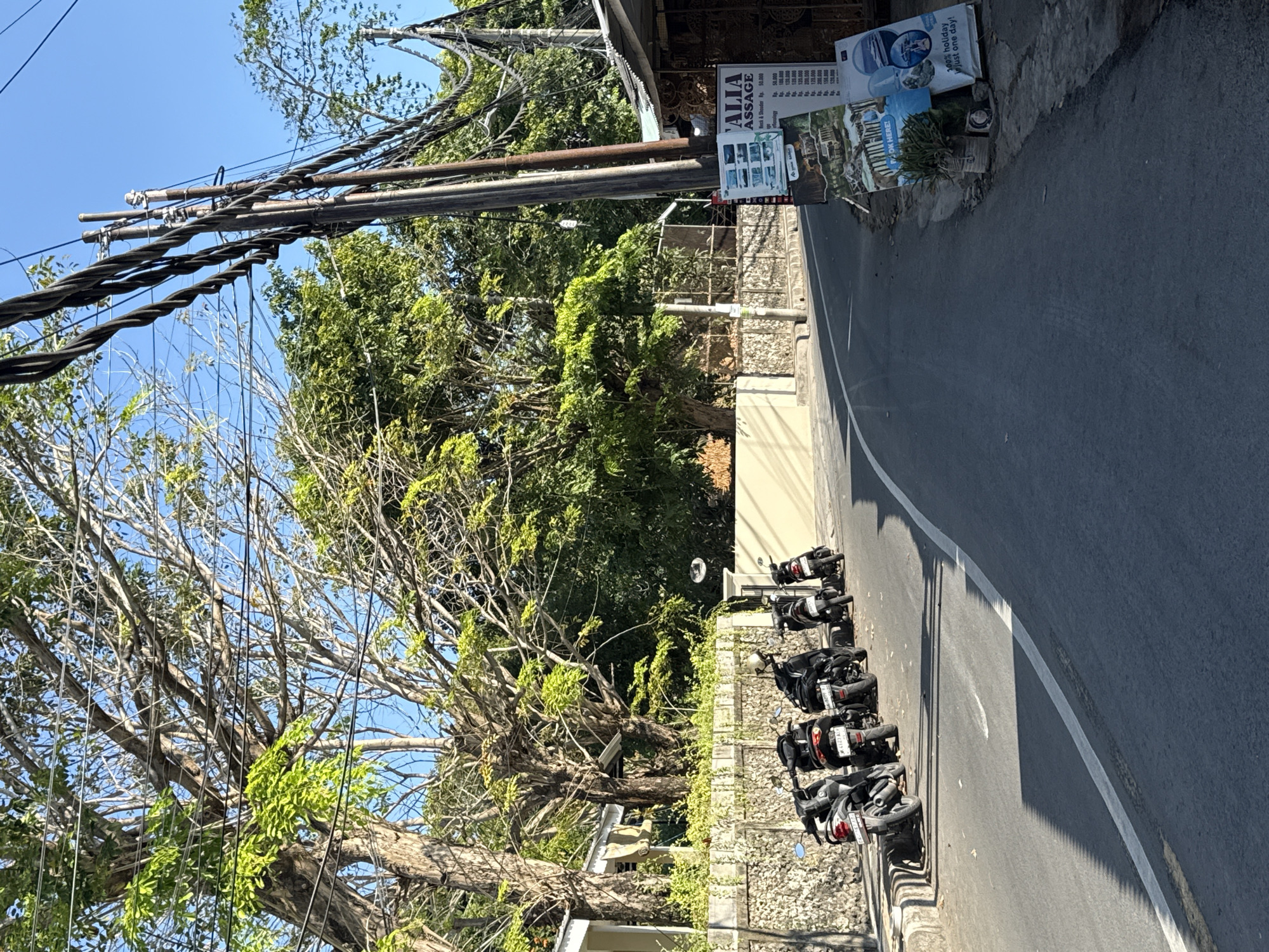 The image shows a street scene in Denpasar, Indonesia, bathed in bright sunlight. On the left side of the paved road, several black scooters are parked along a low, stone-walled embankment lined with vegetation. The road curves gently to the right, disappearing into the distance. Utility poles with numerous tangled wires dominate the right side of the frame. A small roadside stall with a corrugated metal roof is visible, displaying several posters. One poster advertises "ITALIA ASSAGE" with a price list. Another poster features images of a boat and text that reads "100% holiday," "just one day!". Lush green trees with dense foliage line both sides of the street, casting dappled shadows on the road. The sky is clear and blue. There are no people visible in the scene.