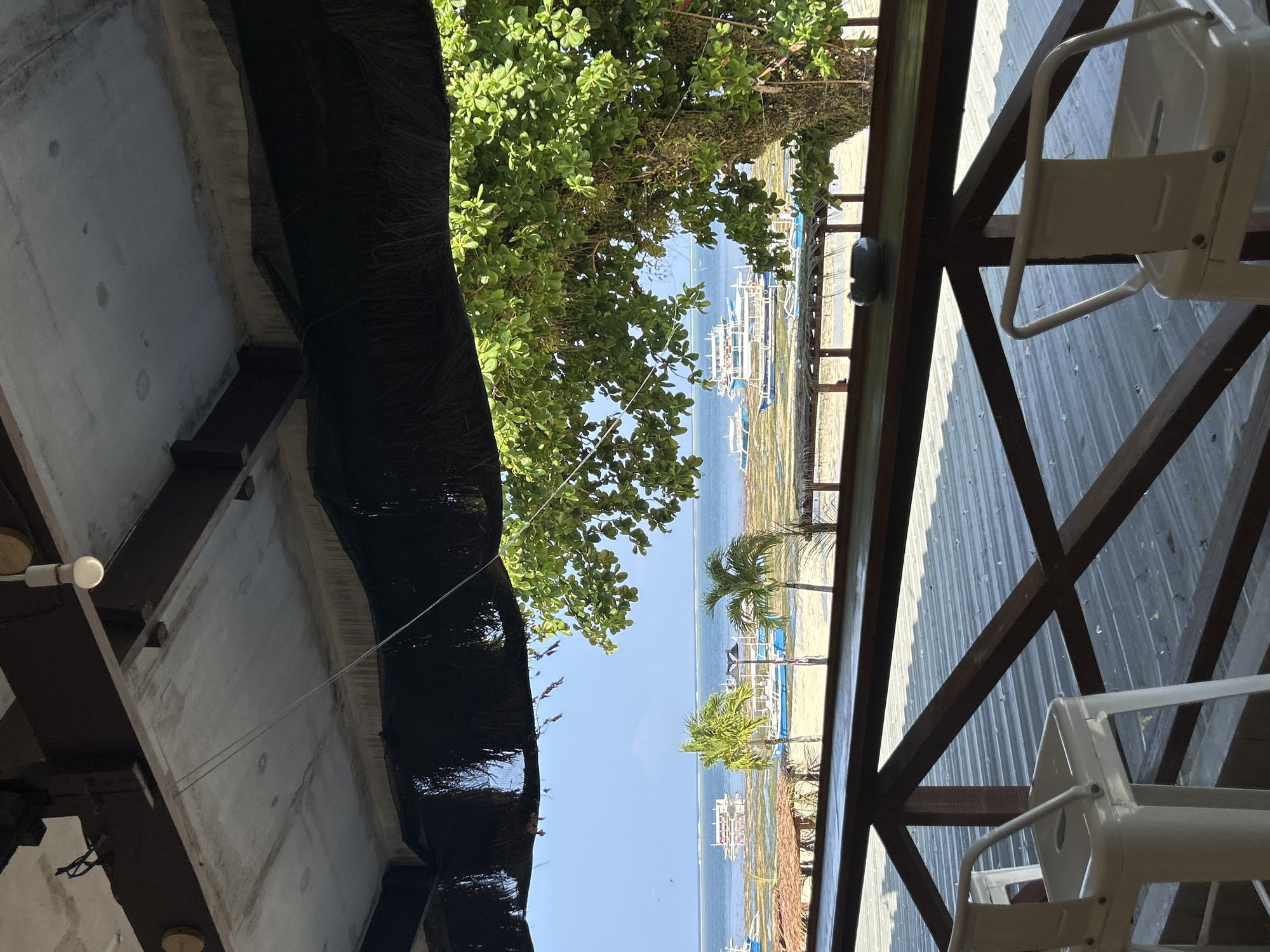 The image captures a vibrant, sunny view overlooking a beach and ocean from a shaded, elevated structure, likely a balcony or restaurant patio. The original image is rotated 90 degrees clockwise; when properly oriented, the view is framed from a sheltered indoor/outdoor space.
In the upper portion of the corrected image, the underside of a concrete ceiling is visible, featuring exposed light bulbs and a dark, possibly thatched or netted, overhang on the right. Dark wooden beams or framework run through this area. In the lower right foreground, a white metal chair is positioned on what appears to be a corrugated metal floor, part of a wooden-framed balcony or deck.
The midground is dominated by lush, green foliage of trees, partially obscuring the view of the beach. Beyond the trees, a narrow strip of sandy beach is visible, adorned with several small palm trees. The beach extends towards the horizon where the clear, blue ocean stretches out. Numerous white outrigger boats, characteristic of the Philippines (bangkas), are seen docked or anchored along the shoreline.
The sky is bright and clear, indicating a sunny day, likely midday or early afternoon, given the strong illumination and visible shadows from the structure. The calm waters and bright conditions create a serene and inviting atmosphere. There is no visible text in the image. The presence of bangkas and tropical vegetation strongly aligns with the specified location of General Luna, Philippines, suggesting a typical scenic coastal setting.