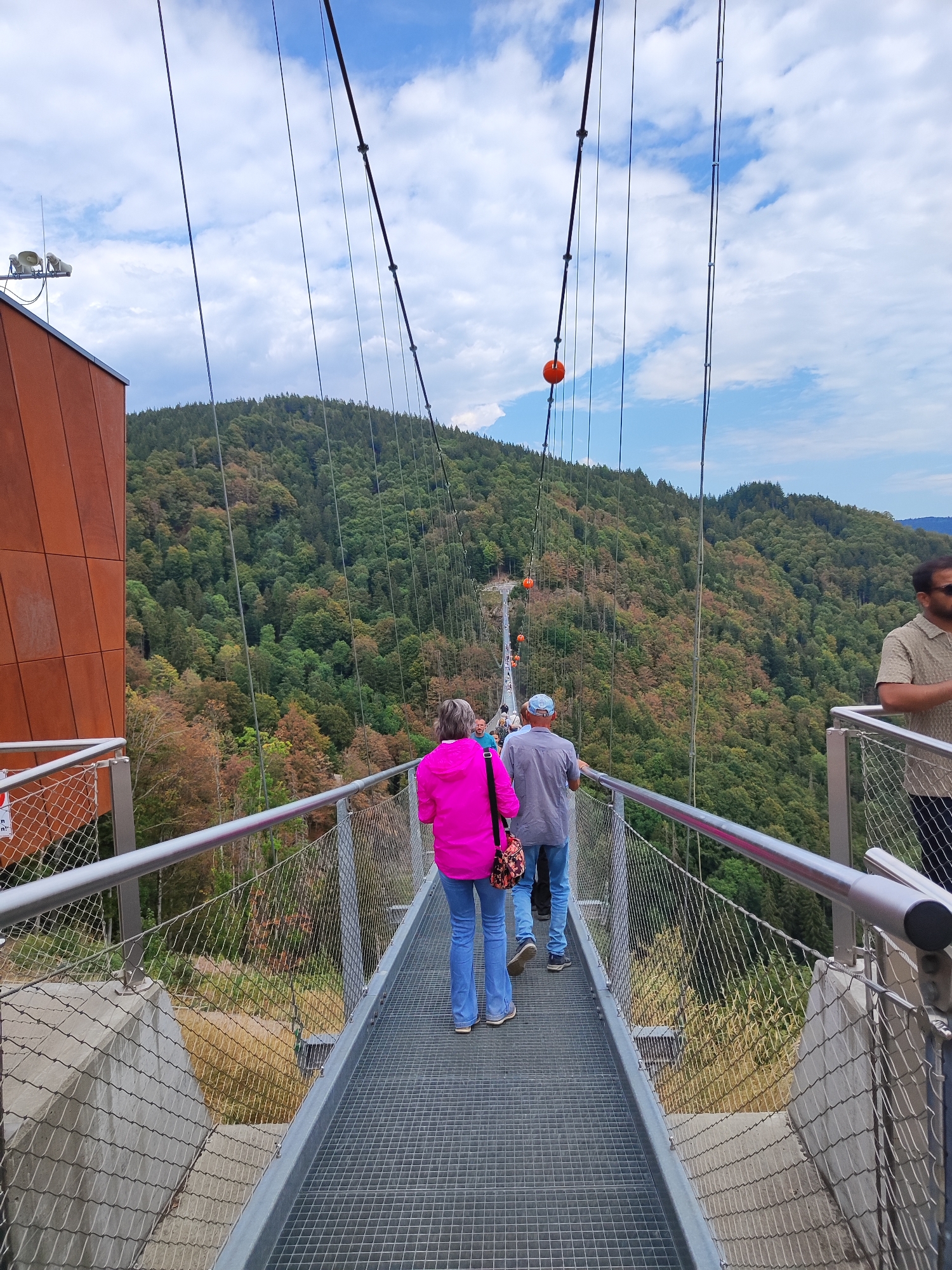 The image shows a suspension bridge in Todtnau, Germany, with people walking on it. The bridge is made of metal grating and has a railing with a wire mesh safety barrier. On the left, there is a modern building with an orange-brown facade. The bridge spans a forested valley, with a mountain covered in trees in the background. The sky is blue with white clouds. In the foreground, a woman in a bright pink jacket and blue jeans is walking away from the camera. To her right, a man in a grey shirt and blue jeans is walking in the same direction. Further ahead, more people can be seen walking on the bridge, and in the distance, there are orange spherical objects hanging from the suspension cables. The overall scene depicts a tourist attraction with a scenic view.