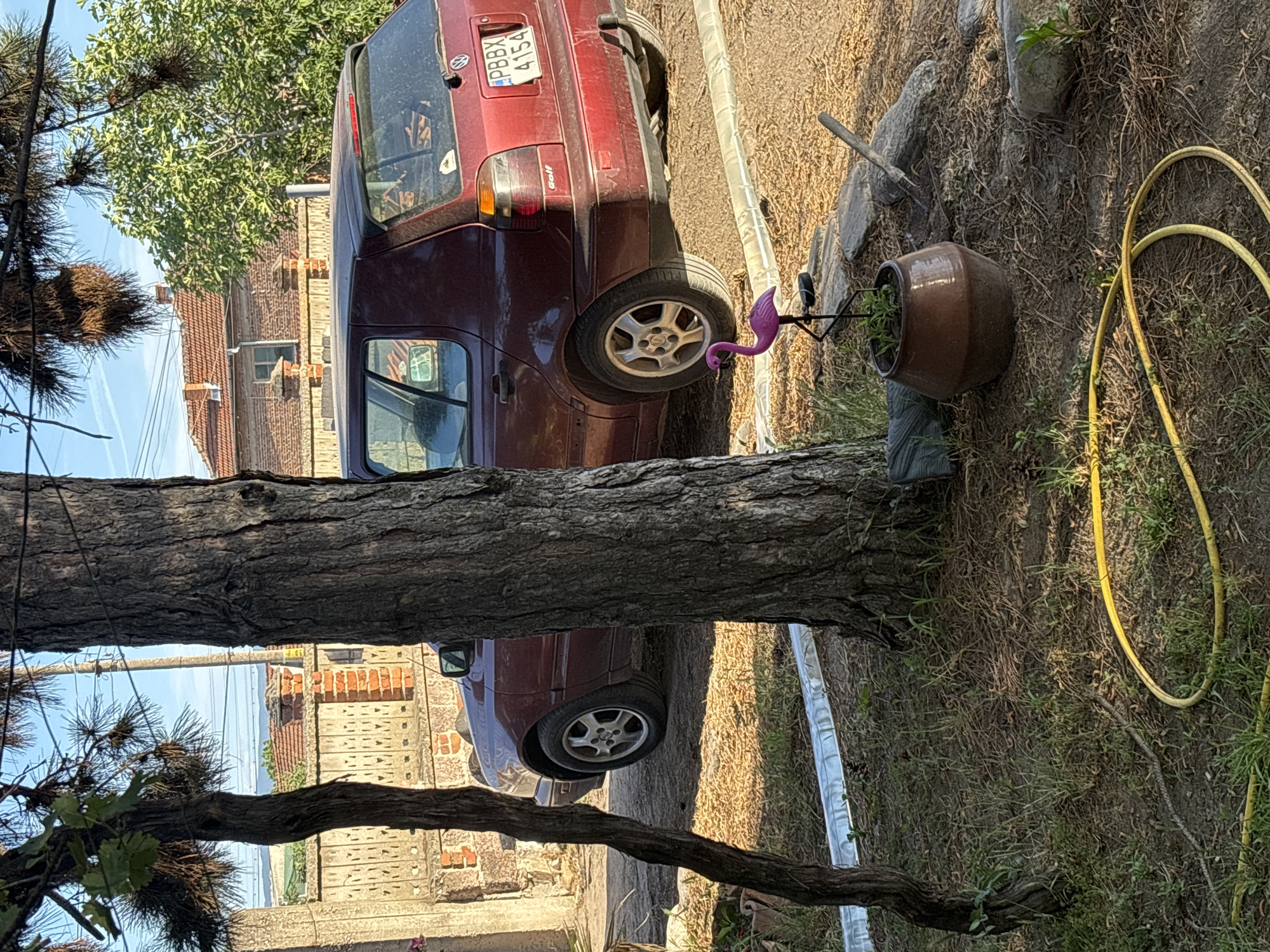 The scene is an outdoor space, potentially a yard or garden, located in the city of Kostievo, Bulgaria. A burgundy Volkswagen Golf is parked next to a tree. A pink plastic flamingo is near a large clay pot with plants growing in it. A yellow garden hose is coiled on the ground. The ground is covered with dry grass, leaves, and dirt, with some green vegetation present. A brick building is visible in the background. Power lines are strung overhead. A tree trunk and branches dominate the foreground of the image.