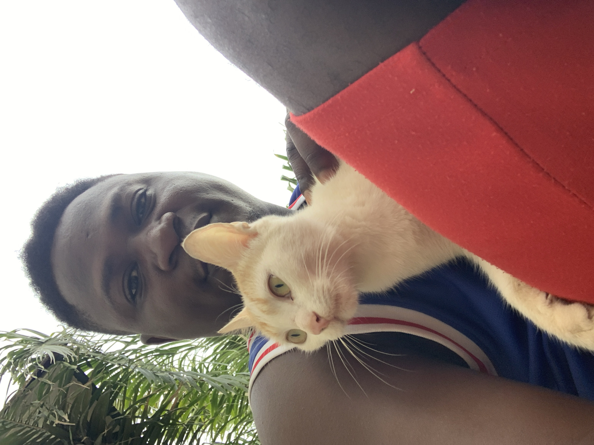 This photograph, presented on its side, captures a heartwarming moment between a person and a cat in Akwanga, Nigeria, against a backdrop of a bright sky and green foliage. The low-angle shot looks up at a person with dark skin, visible from the forehead to the upper chest, who is looking directly at the camera with a gentle, friendly expression. They are wearing a blue and white striped shirt, with a red stripe also visible on the collar area.
Cradled by the person is a cream and white cat featuring distinctive green eyes and hints of orange or cream fur on its head and ears. The cat's head is tilted, and it appears to be observing the camera with a calm demeanor. A section of vibrant red fabric, possibly part of the person's clothing or another item, is prominent on the right side of the frame.
The background reveals a bright, possibly overcast daytime sky and lush green, palm-like trees, indicating an outdoor, tropical setting. The overall mood of the image is serene and affectionate, highlighting the bond between the individual and their feline companion. No text is visible in the image.
