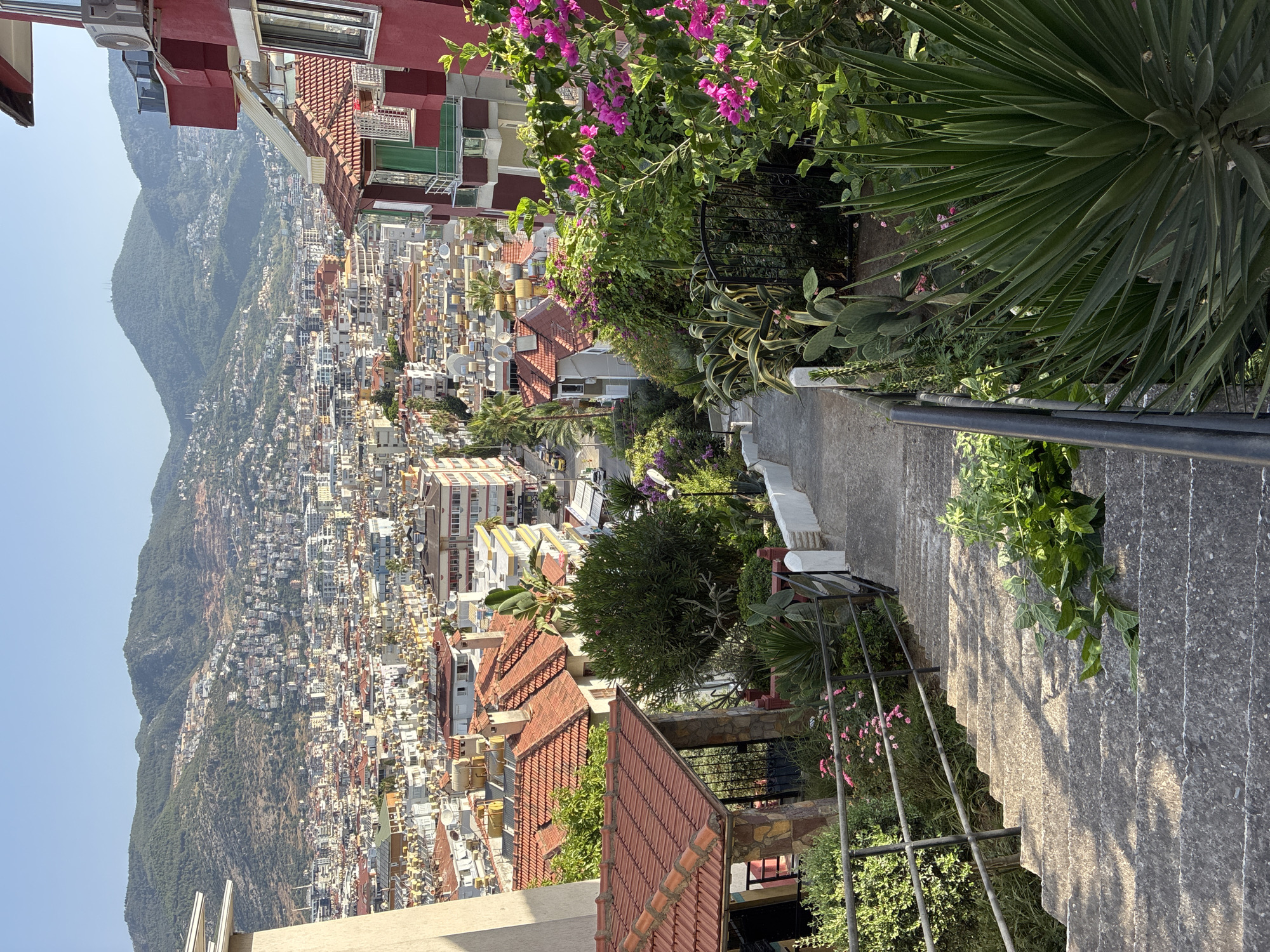 This is a high-angle, eye-level shot of a steep, concrete staircase descending through a residential area in Alanya, Turkey. The city sprawls across rolling hills in the background, with a dense collection of buildings featuring red-tiled roofs and numerous solar water heaters visible. The mountainous terrain behind the city is dotted with more houses and covered in greenery.
The staircase is flanked by lush, green vegetation, including flowering bushes with bright pink blossoms, cacti, and spiky plants. Some of these plants are growing on either side of the stairs, and some are contained in planters. A black metal railing runs along the sides of the stairs, providing support. On the left side of the stairs, a small, covered structure with a red-tiled roof and stone walls is visible.
In the foreground, a few branches with green leaves have been placed on the stairs. The sunlight casts strong shadows across the concrete steps. The scene suggests a warm, sunny day in a hilly, coastal city. There are no people visible in the image.