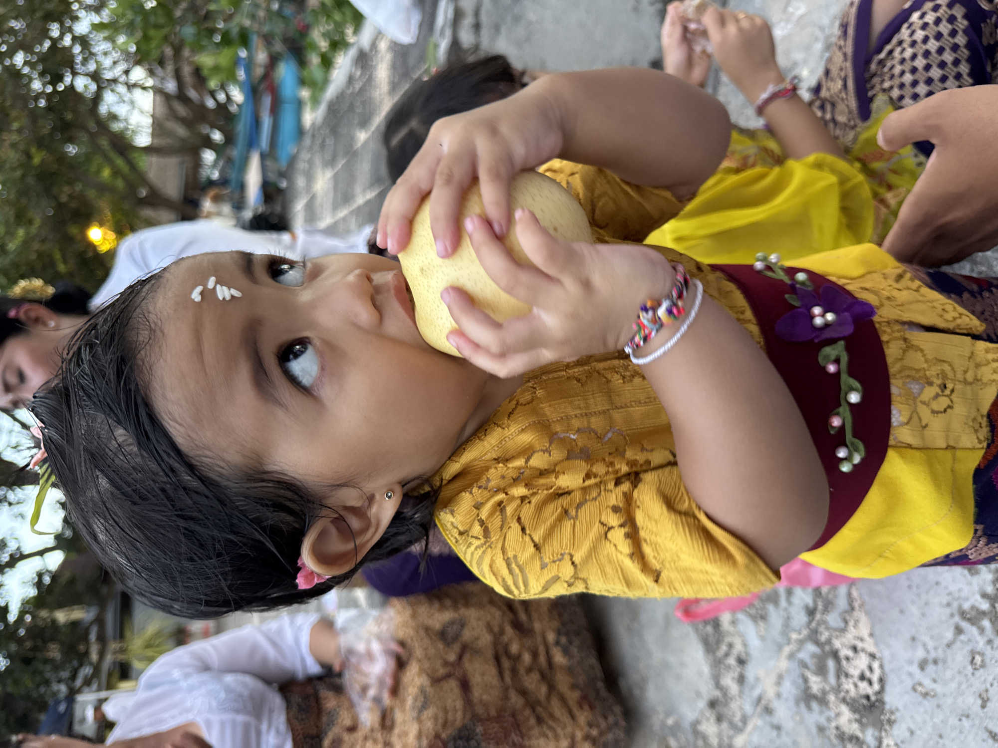 A young child, appearing to be a toddler, is the central focus of this close-up image, depicted at an angle as if lying on their side. The child holds a light yellow, round fruit, possibly a pear, with both hands, bringing it towards their mouth. They are dressed in a bright yellow traditional top with an intricate lace-like pattern, and a maroon or deep purple sash adorned with a purple floral embellishment. Several small white grains, likely rice, are visible on the child's forehead, a customary practice in Balinese Hindu ceremonies. A colorful, beaded bracelet is worn on the child's right wrist, and small pink flowers are tucked into their dark hair near the left ear, which also features a tiny silver earring. The child's large, dark eyes look upwards with a focused and curious expression.
In the blurry background, parts of other individuals are visible; one person wears a white garment, and another is partially seen in a purple and gold patterned traditional outfit. Green trees and foliage are discernible, indicating an outdoor setting with natural light, suggesting daytime. The ground beneath appears to be a light-colored, textured surface. The image captures a moment likely during a cultural or religious event in Kuta, Indonesia, characterized by traditional attire and customs. There is no visible text in the image.