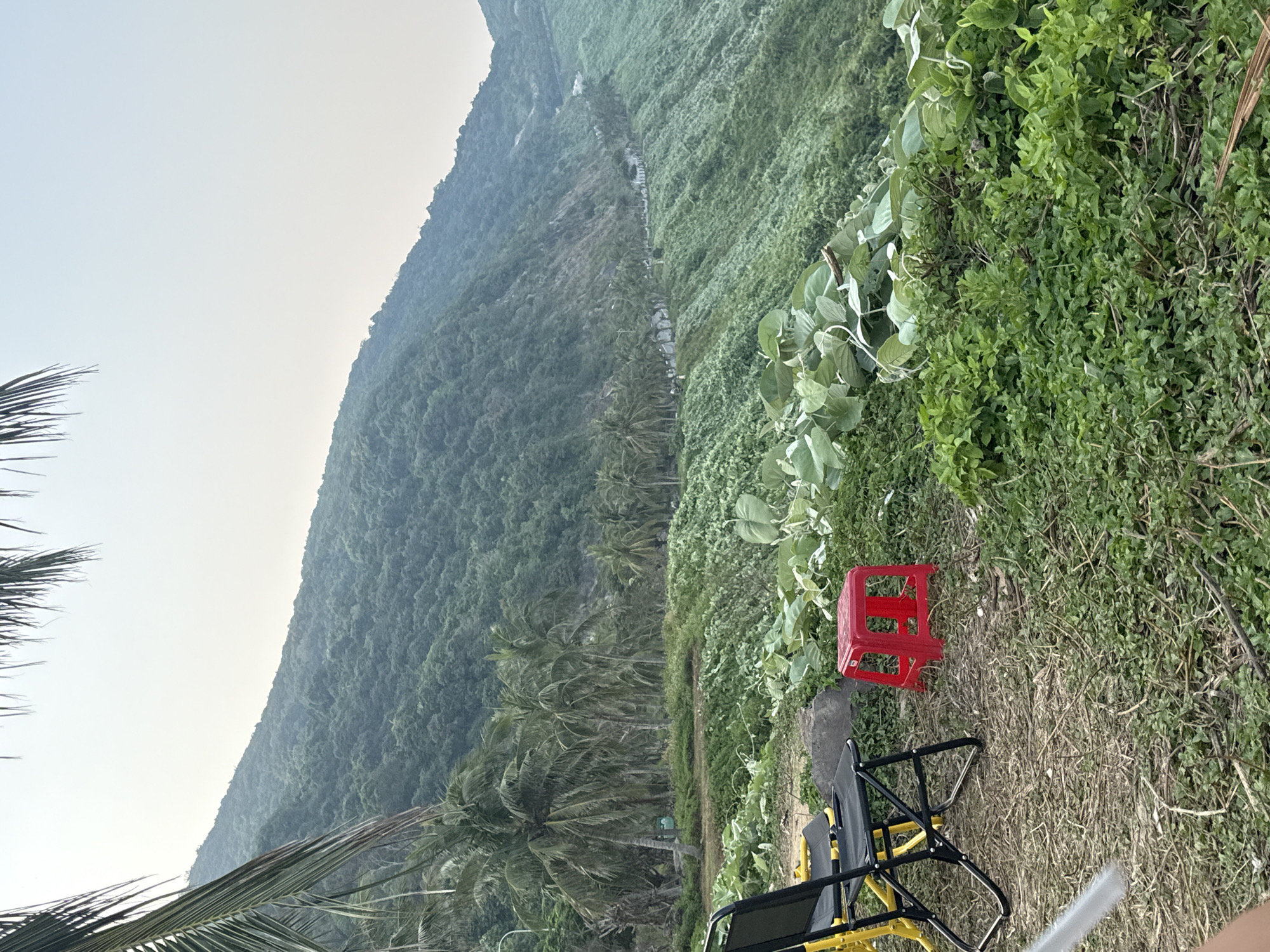 The scene is a hillside view in Đà Nẵng, Vietnam. A steep, densely forested mountain rises to the left. A line of palm trees grows at the base of the mountain, transitioning into dense vegetation on the right. In the foreground, on a grassy patch, there is a red plastic stool and a yellow-and-black folding chair. A part of a palm tree is visible in the lower left. The sky is overcast.