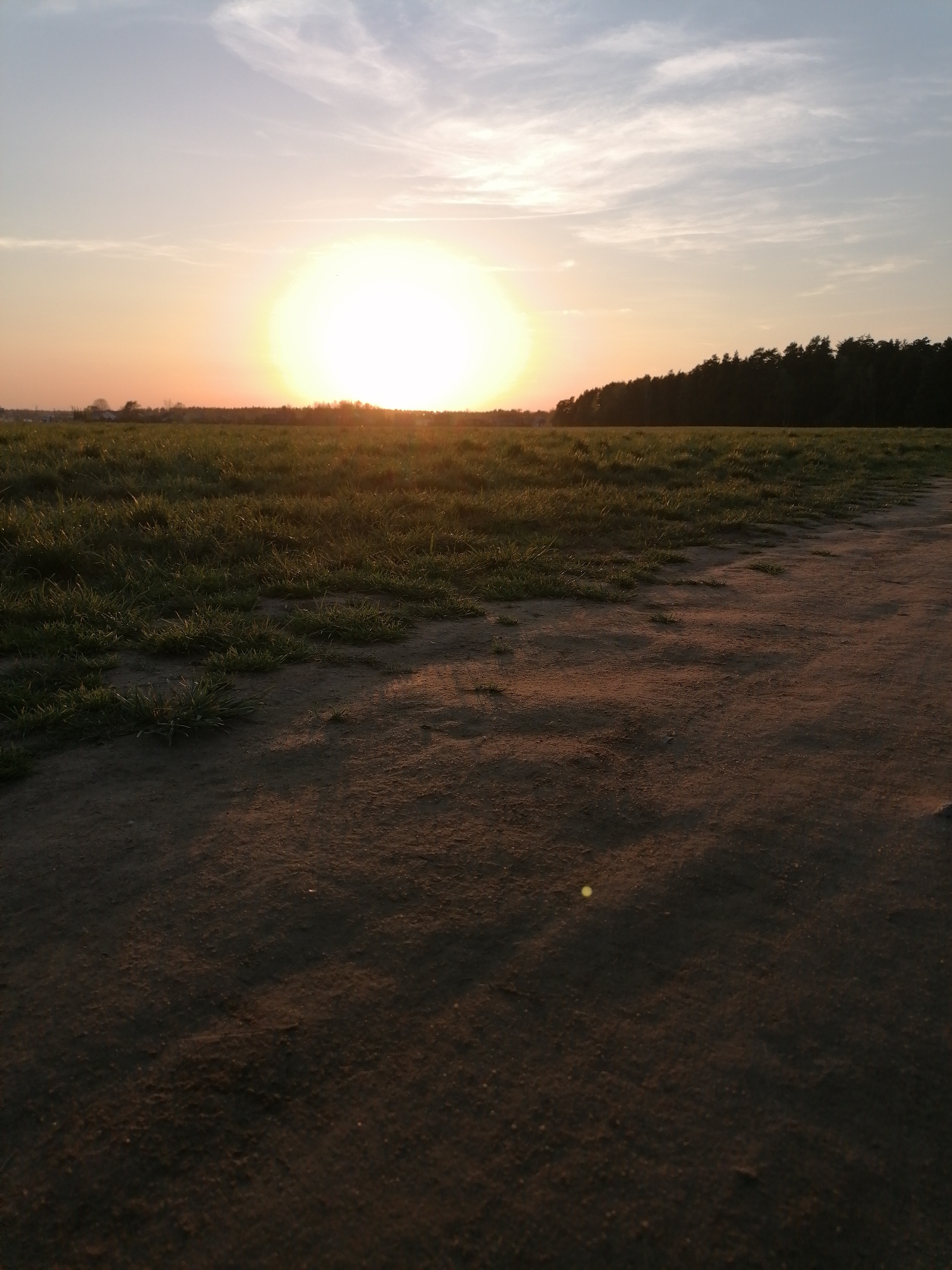 The image captures a rural landscape at sunset, location Unknown, Unknown. The sun is positioned near the horizon, casting a warm, bright glow across the scene. A field of green grass occupies the middle ground, transitioning into a dirt path in the foreground. A line of trees is visible in the background, silhouetted against the bright sky. The sky contains sparse clouds. There are no people or animals visible in the image.