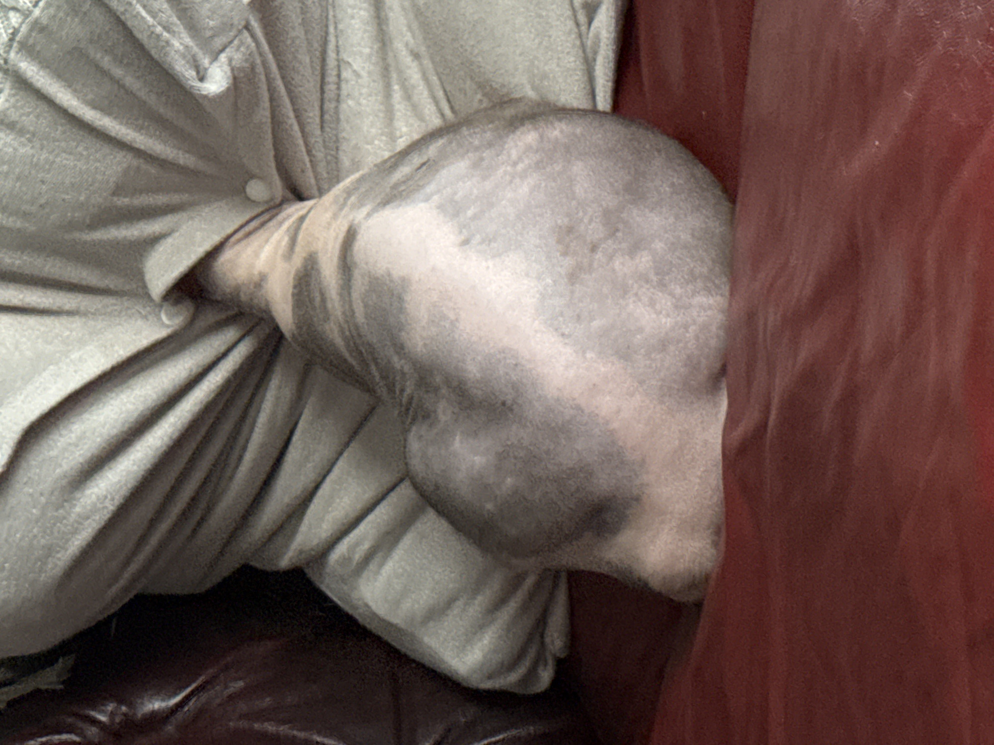 The image shows a close-up, aerial view of a hairless animal, possibly a cat or dog, resting on a red, leather-like surface, possibly a sofa or chair. The animal's body is rounded and appears to be tucked into a bundle. It has light-colored skin with some darker markings. The animal is partially covered by a light-colored, textured fabric, possibly a blanket or clothing, which is bunched up around it. The background consists of more of the textured fabric and the red surface. No specific city or location details are visible in the image.