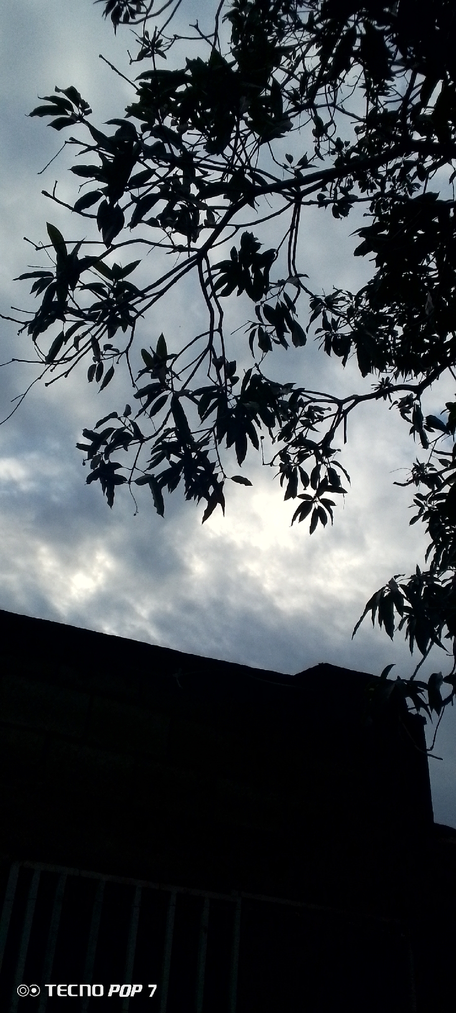 The image shows a cloudy sky with the silhouette of tree branches and leaves in the foreground. Below the branches, there is a dark, indistinct structure that appears to be a building. The text "TECNO POP 7" is visible in the lower left corner, indicating the device used to capture the image. The location is Altagracia, Venezuela.