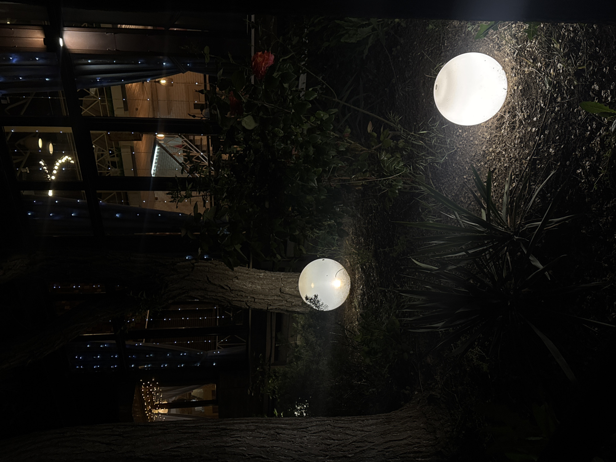At night, a scene shows two luminous spherical lights in a garden setting. One light is at the top right and the other is slightly left of the center, illuminating a tree and foliage. In the background, through windows or a structure, there are twinkling lights suggesting a building. The image is dimly lit.
The location is Yevpatoriya, Ukraine.