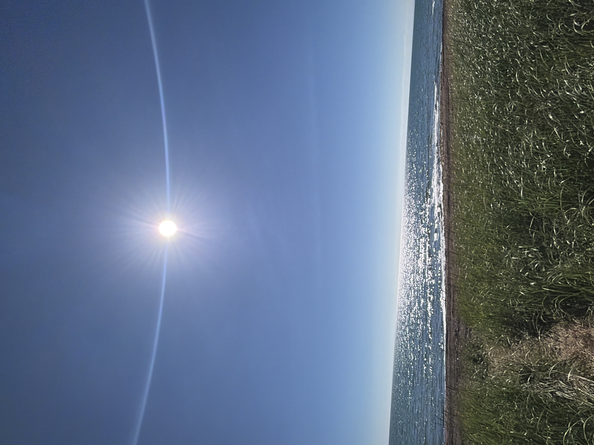 The image captures a serene coastal scene. A bright sun, radiating with visible rays and surrounded by a halo effect, hangs in a clear, vibrant blue sky. Below the sky, a vast expanse of shimmering water stretches to the horizon, its surface speckled with countless points of light reflecting the sun. A narrow strip of dark sand or beach separates the water from the foreground, which is dominated by tall, green grasses. A faint path is visible winding through the grasses, leading towards the beach. The location is identified as Ozerskoe, Russia, though no specific landmarks or man-made structures are visible in the frame. There are no people or animals present in the image.