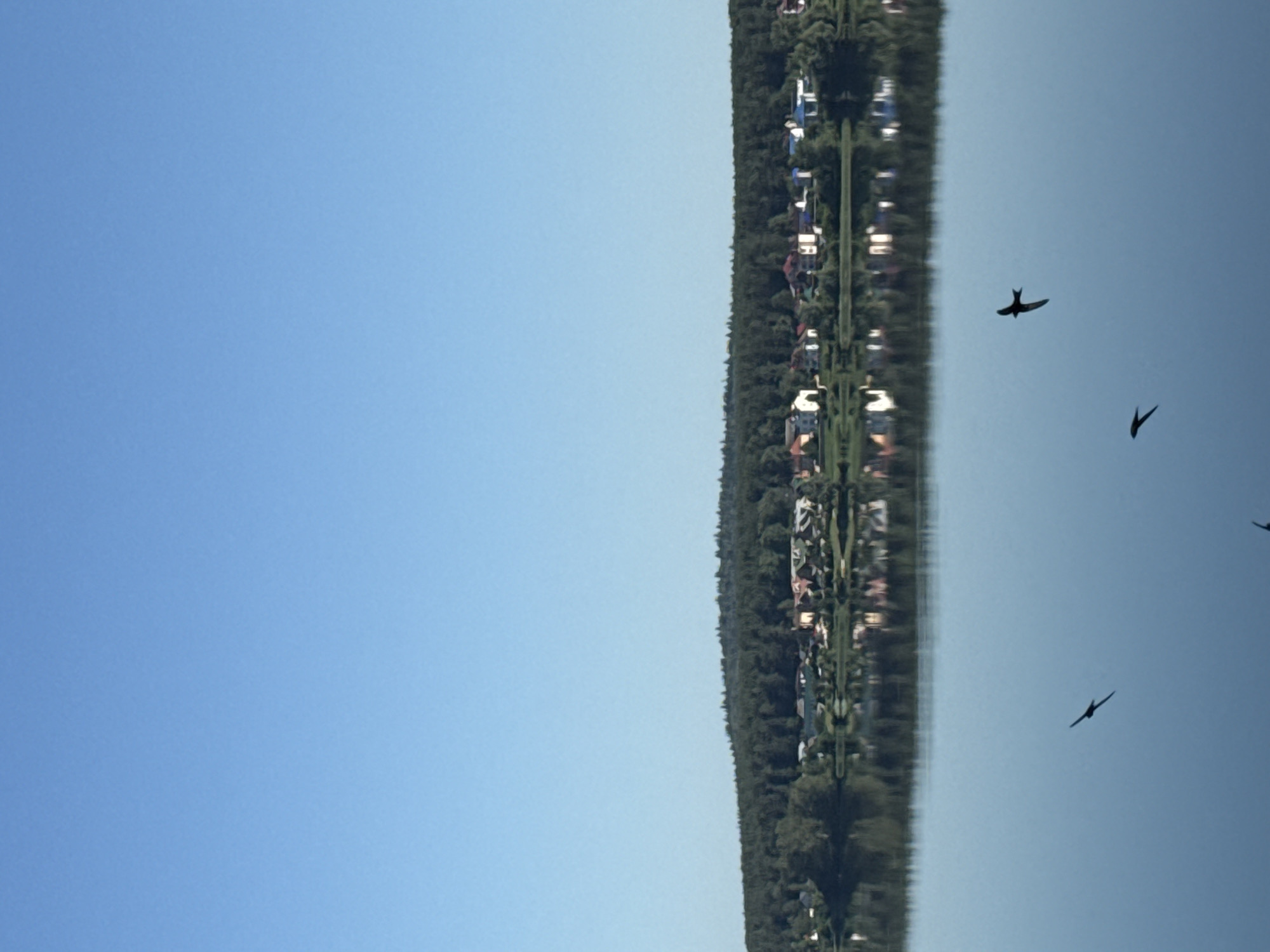 The image shows a serene lake scene in Votkinsk, Russia. A clear blue sky dominates the upper half of the frame. Below the sky, a lush green forest forms a backdrop to a small village with houses of varying colors, nestled along the shoreline. The houses have red, white, and blue roofs and are surrounded by trees. The lake in the foreground is calm and reflects the village and the forest with remarkable clarity. Three small, dark birds are captured mid-flight over the water, their silhouettes stark against the tranquil surface. The overall impression is one of peaceful natural beauty and a picturesque rural settlement.