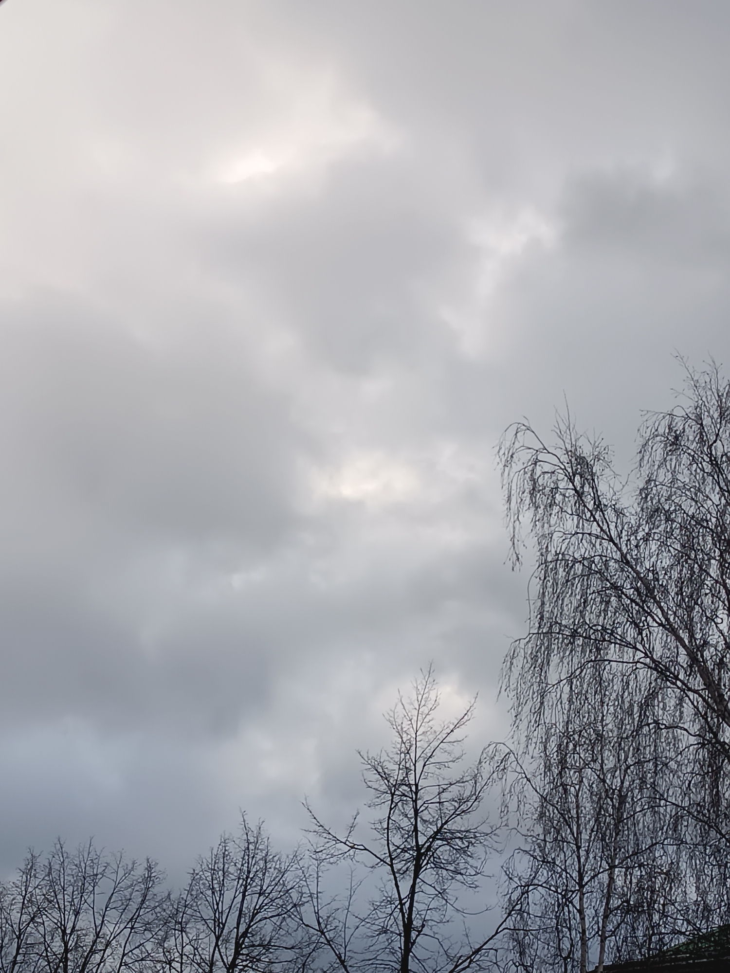The image displays an overcast sky filled with various shades of grey and white clouds. A distinct brighter patch of light, likely from the hidden sun, illuminates a central area of the sky. The clouds range from a light, almost white tone in the upper left to denser, darker grey formations elsewhere, indicating thick cloud cover.
In the lower and right portions of the frame, the intricate silhouettes of several bare deciduous trees are visible against the cloudy backdrop. A prominent tree on the right, possibly a weeping birch or willow, features numerous long, thin, drooping branches that extend upwards and across the side of the image. Other trees, with more upright branches devoid of leaves, occupy the lower left and center.
The scene captures a tranquil, outdoor setting during daytime under a heavily clouded sky. The absence of leaves on the trees strongly suggests the season is late autumn or winter, characteristic of the climate in Chaikovsky, Russia, during these months. No people, specific objects, or discernible activity are present in the photograph. The overall mood is muted and calm, with no visible text.