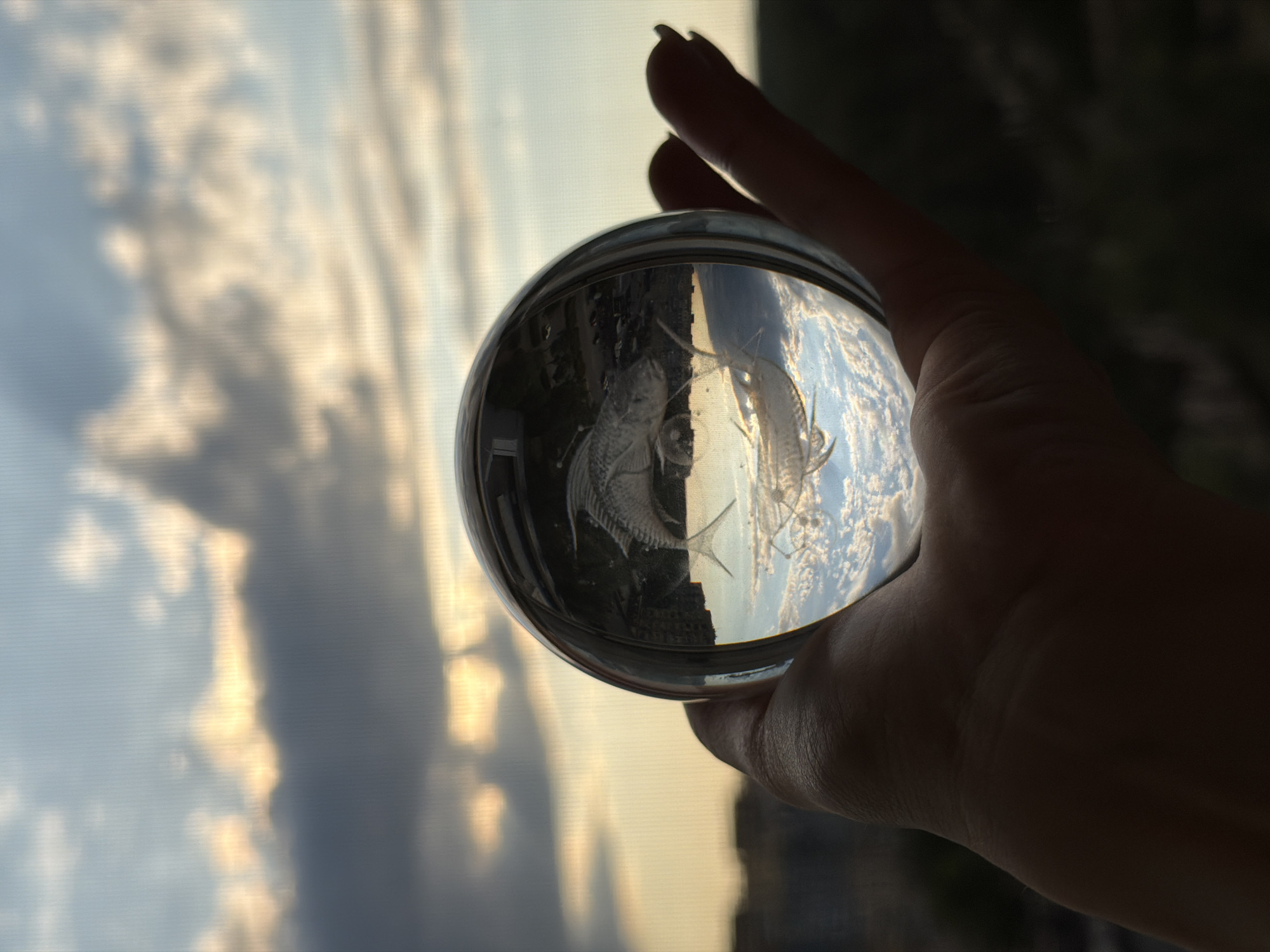 A hand holds a clear glass sphere against a sky with clouds. Within the sphere, a fish is visible, seemingly in mid-air. The background outside the sphere shows a blurred landscape with buildings. The lighting suggests it is dusk or dawn.