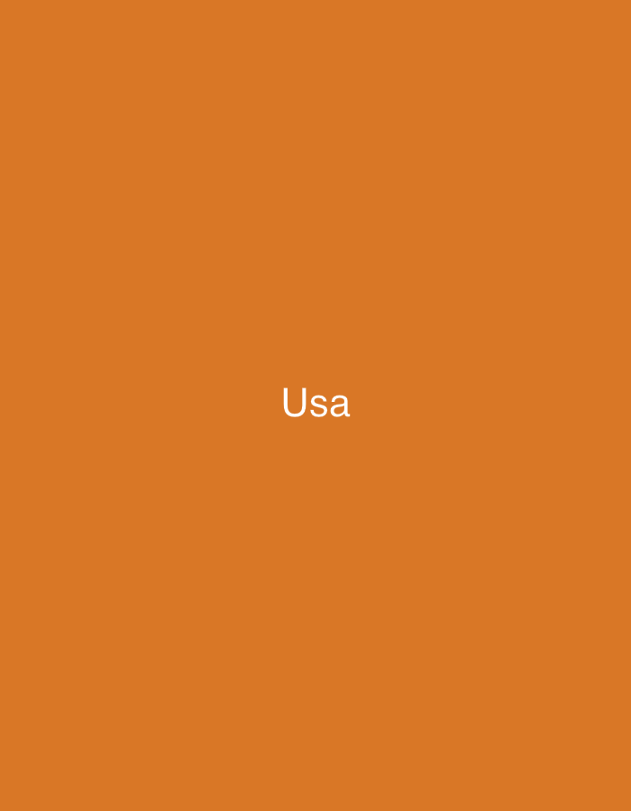 This image displays a solid, uniform orange background. Centered on this monochromatic field is the white, sans-serif text "Usa". No other figures, objects, or environmental details are present within the frame. The scene is associated with the city of Casablanca, Morocco.