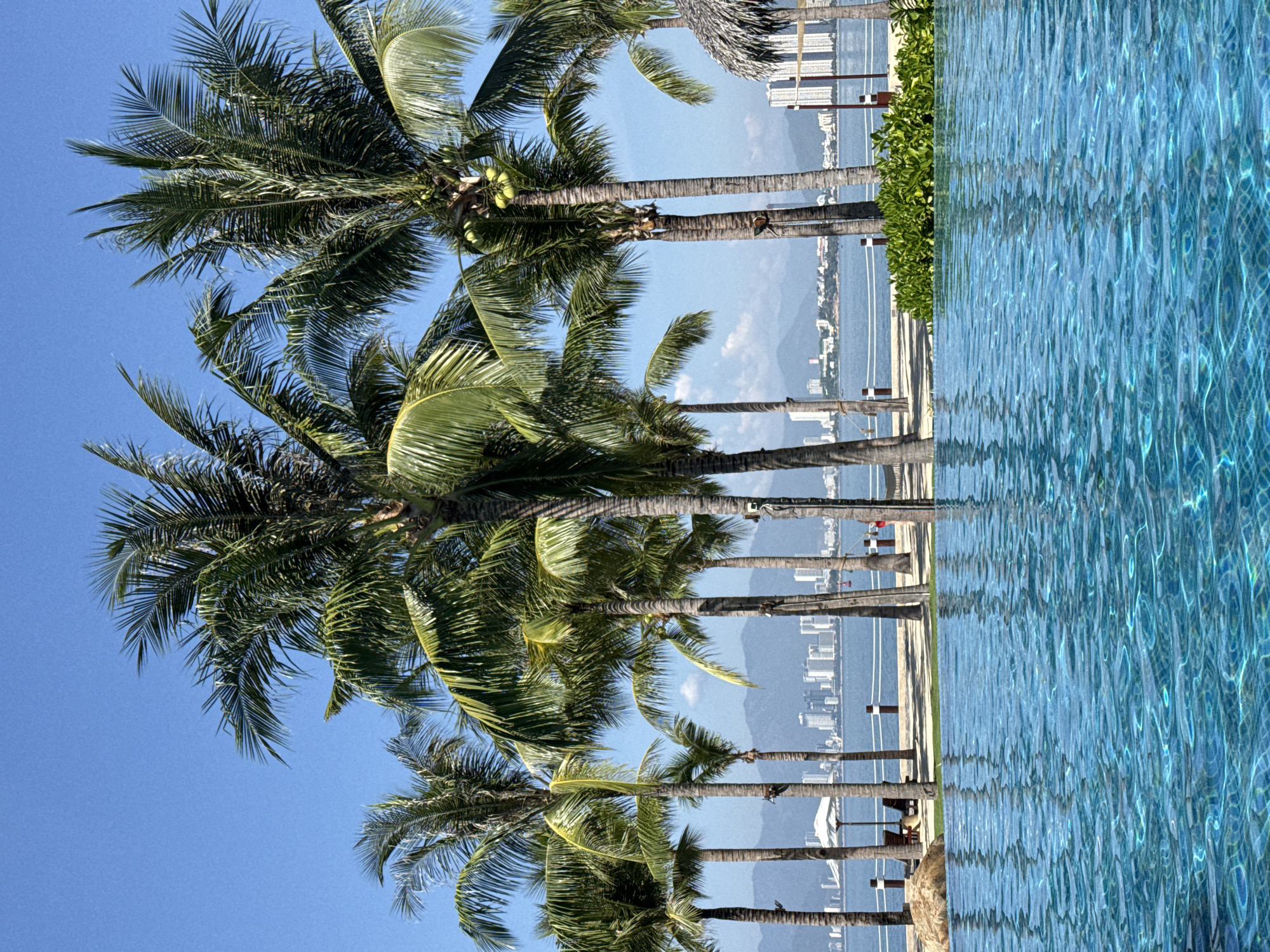 A vibrant, sun-drenched scene unfolds with a foreground of a shimmering blue swimming pool, its surface rippling with light. Beyond the pool, a sandy pathway is lined with lush green palm trees, their fronds reaching towards a clear, bright blue sky. In the middle ground, a body of water, likely the sea, separates the foreground from a distant cityscape. The city skyline is dominated by numerous tall, white buildings, with mountains visible behind them. The overall impression is one of a tropical resort or coastal town, possibly located in the city of Nha Trang, Vietnam, known for its beaches and modern architecture.