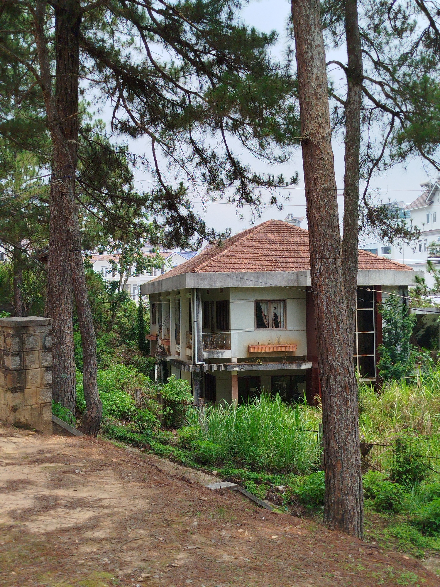 A slightly dilapidated, two-story house with a red tiled roof sits on a slope in Lang Biang - Đà Lạt, Vietnam. The house is visible through a frame of pine trees and overgrown vegetation. The building has a concrete exterior with a colonnade on the second floor. Some windows are visible, one appearing boarded or darkened. Below the second floor is a partially visible ground level, appearing as though the house is built on stilts. The ground is covered in grass and other green plants. To the left is a partial stone wall beside a dirt path strewn with pine needles. Other buildings can be seen in the background.