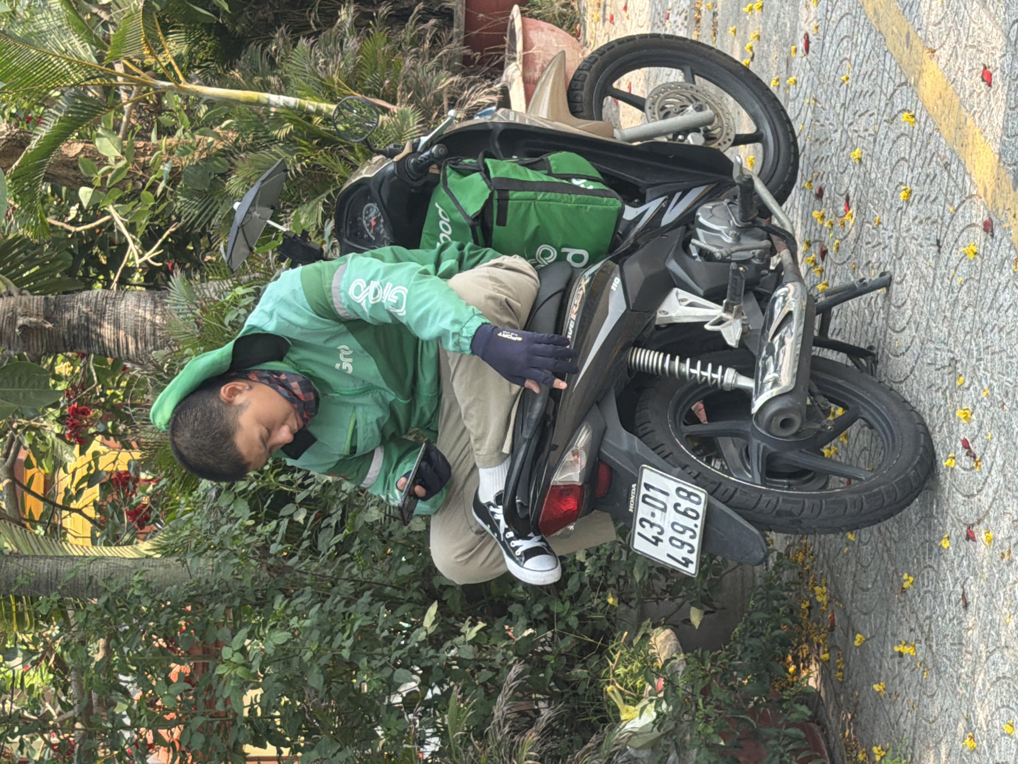 A man wearing a green jacket and light-colored pants sits on a black motorcycle near a tree and a paved sidewalk. The motorcycle's license plate reads "43-01 499.68." The man is wearing black and white sneakers and blue gloves. The motorcycle has a green bag on the front. The scene appears to be in an urban area with trees and sidewalks. The license plate indicates that the location may be in Đà Nẵng, Vietnam, as "43" is a Vietnamese vehicle registration code for Đà Nẵng. Fallen yellow and red flower petals are scattered on the sidewalk.