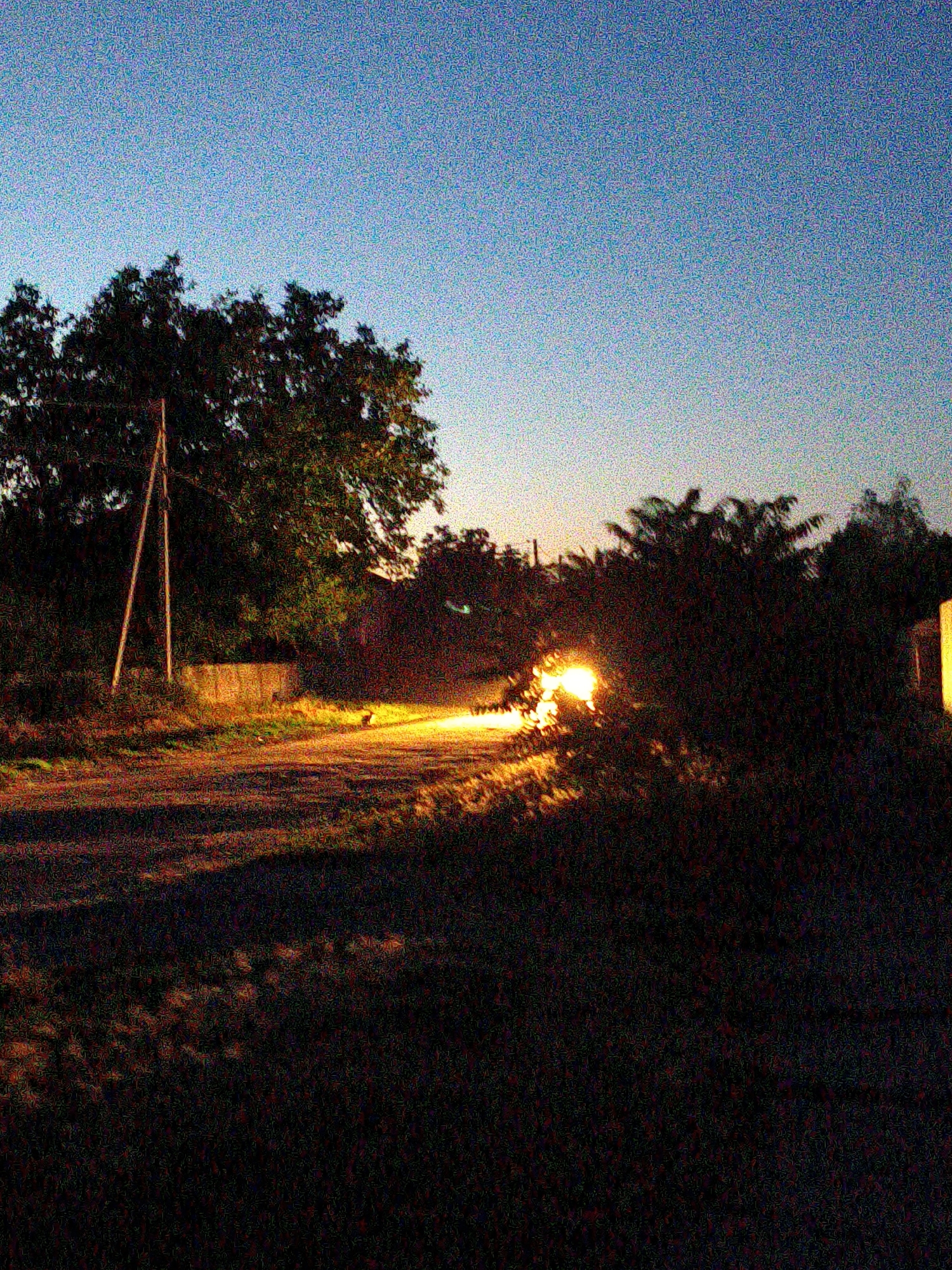 The image depicts a rural road scene at dusk or dawn. The sky is a clear, pale blue, transitioning to a lighter hue near the horizon. On the left side of the road, a large tree with dark foliage stands near a wooden utility pole. A concrete structure or low wall is visible behind the pole, partially obscured by vegetation.
The focal point of the image is the bright headlights of a vehicle approaching from the right side of the frame, illuminating the road and surrounding bushes with an intense orange-yellow light. The vehicle itself is not clearly visible, but its headlights suggest movement. The road appears to be unpaved or dirt, with shadows cast across its surface. The foreground is covered in dark grass and vegetation.
The overall mood is one of transition, with the fading natural light challenged by the artificial light of the vehicle. The grainy quality of the image adds to a slightly mysterious or atmospheric feel. There is no visible text in the image. The scene is characteristic of a rural setting in Ukraine, likely Ustyvytsia, given the provided location context.