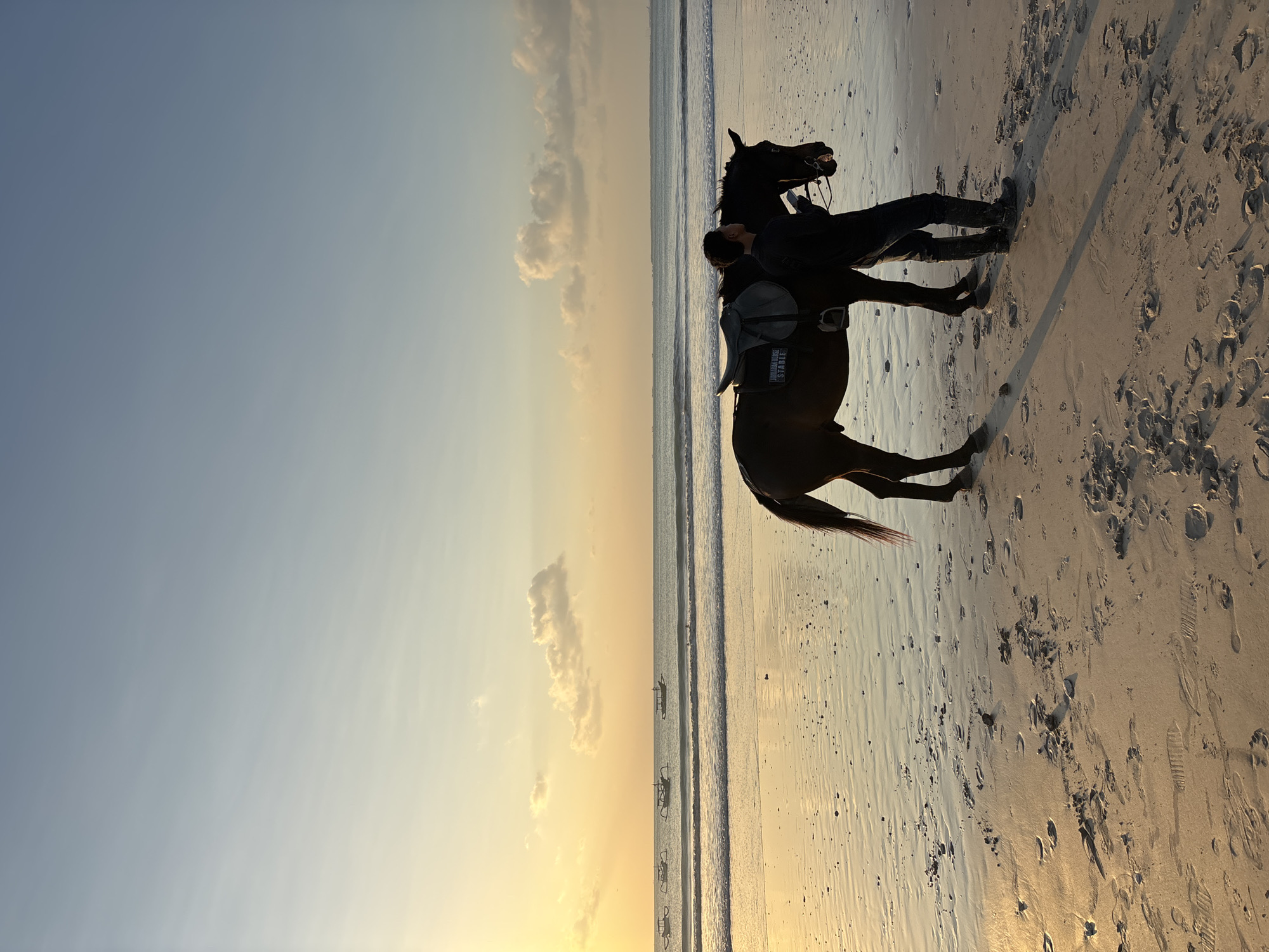 A wide-angle photograph captures a person leading a saddled horse along a sandy beach in Kuta Selatan, Indonesia, during sunset. The low sun, positioned towards the upper left, casts a warm, golden glow across the scene, creating long shadows and highlighting silhouettes.
In the foreground, the wet sand is extensively covered with footprints from both humans and horses, reflecting the golden light. Small rocks and debris are scattered across the sandy surface.
In the midground, a lone individual, clad in dark attire including long pants and boots, walks in profile, facing towards the right. The person is holding the bridle of a dark-colored horse, which is equipped with a saddle and bridle. The saddle pad prominently displays the text "JUHURAN HORSE STABLE." Both the person and the horse are partially silhouetted against the bright background. Gentle ocean waves are breaking near the shore, located behind the person and horse.
The background features the vast expanse of the ocean under a gradient sky. The sky transitions from a bright, hazy golden-yellow near the horizon, indicative of the setting sun, to a lighter, pale blue towards the top right. Several small, traditional Indonesian outrigger fishing boats (jukung) are visible on the water, positioned between the breaking waves and the distant horizon. A few scattered, wispy clouds are present, with one more distinct cumulus cloud visible above the ocean in the mid-right portion of the sky.