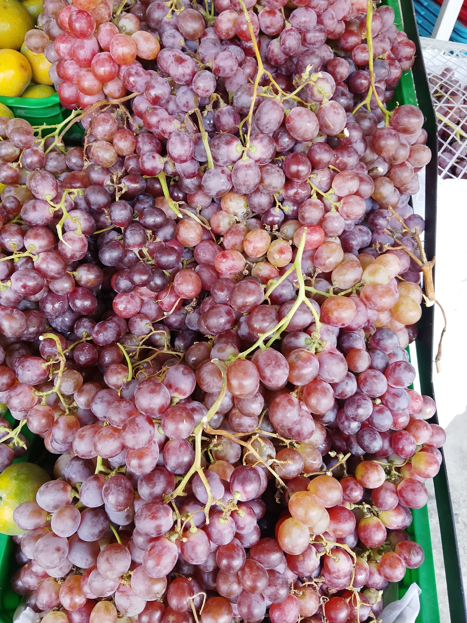The image displays a close-up, overhead view of a large pile of red grapes. The grapes are clustered together on their stems, with some stems clearly visible. The grapes vary in color from deep red to a lighter pinkish-red, with some appearing slightly translucent. The overall texture is smooth and plump. In the background, parts of a green plastic container and a white plastic crate are visible, suggesting a market or retail setting. To the left of the grapes, portions of yellow-green fruits, likely mangoes or a similar citrus fruit, are partially visible. The lighting is bright, casting subtle shadows among the grapes. There are no people or animals present in the image. The scene is situated in Karangboyo, Indonesia.