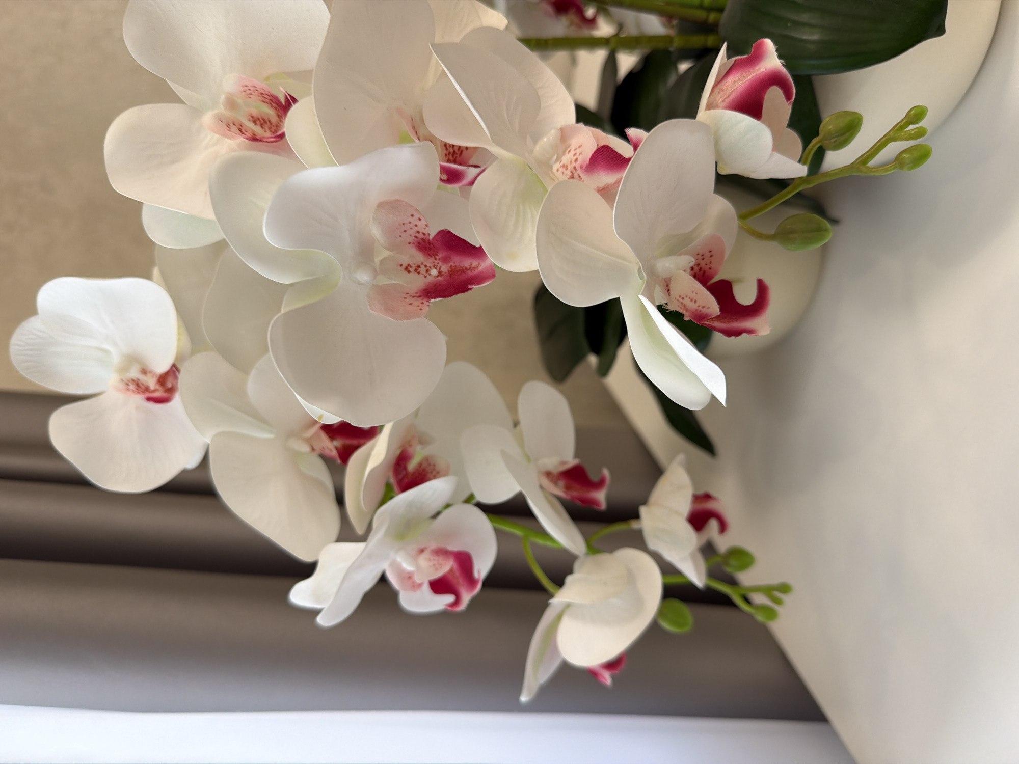 A detailed, high-angle, close-up shot showcases a cluster of white orchid flowers with pink accents, delicately arranged in a white vase. The orchids are the main focus, their petals soft and luminous, with hints of a subtle blush and darker pink markings. Some flowers are in full bloom, while others are still in bud, offering a sense of ongoing natural beauty. The backdrop is divided, with a textured, light brown wall on the right and a soft, muted grey curtain on the left, suggesting an indoor setting. The lighting is gentle, casting soft shadows and highlighting the delicate details of the floral arrangement. The composition is clean and elegant, with a shallow depth of field that blurs the background and further emphasizes the orchids. The overall impression is one of refined tranquility and natural elegance, creating a serene and visually pleasing scene.