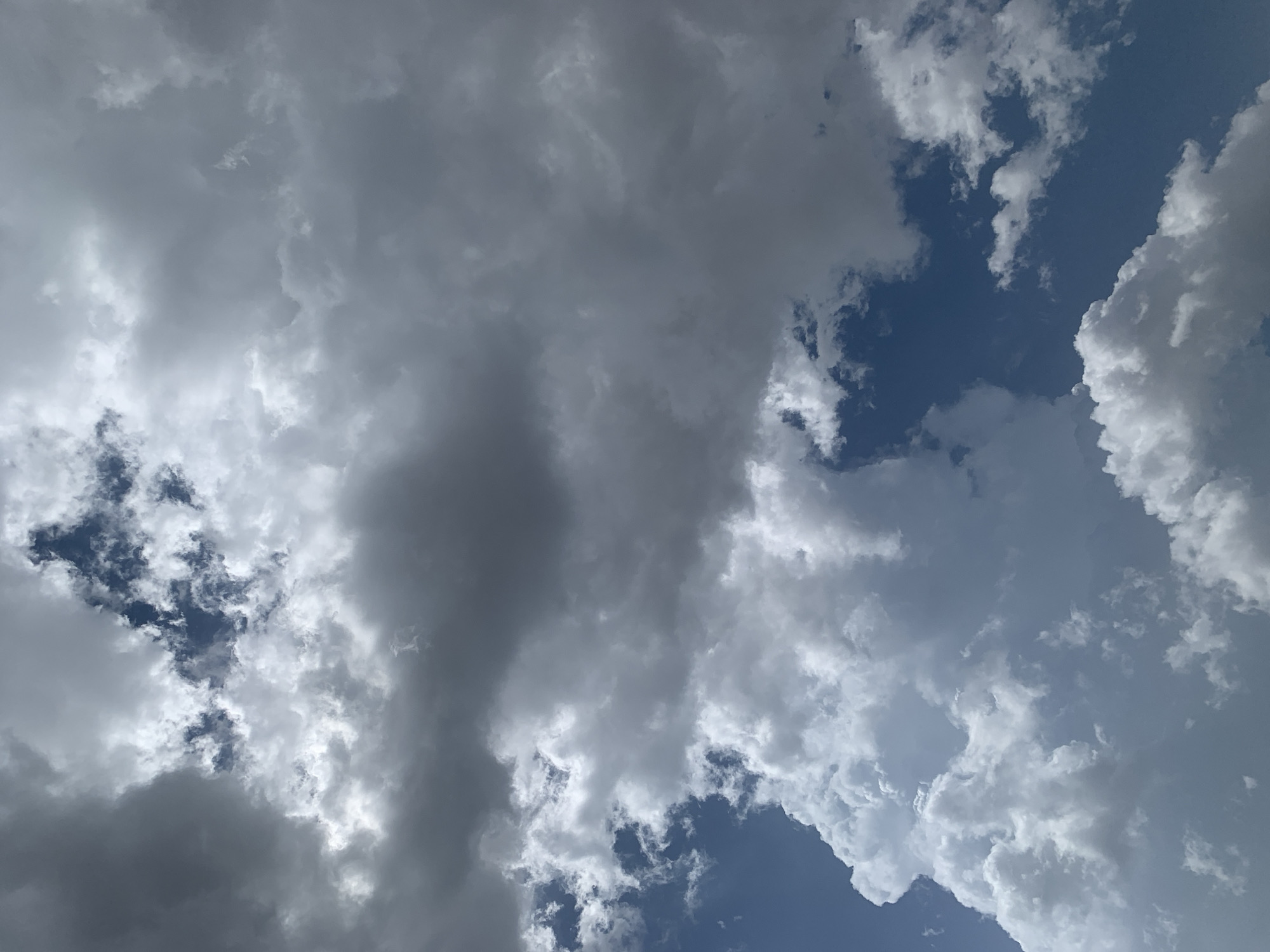 The image is a photograph of a sky filled with a variety of clouds. The clouds are a mix of dark gray, white, and fluffy cumulus formations. Patches of deep blue sky are visible between the clouds. The lighting suggests it is daytime, possibly late afternoon or early evening, as some of the clouds are illuminated by the sun while others are in shadow, creating a dramatic contrast. There are no people or objects visible in the frame, only the natural elements of the sky. The composition is abstract, focusing on the textures and forms of the clouds. The overall mood is somewhat dramatic due to the interplay of light and shadow, and the presence of darker, more ominous-looking clouds. There is no visible text in the image.