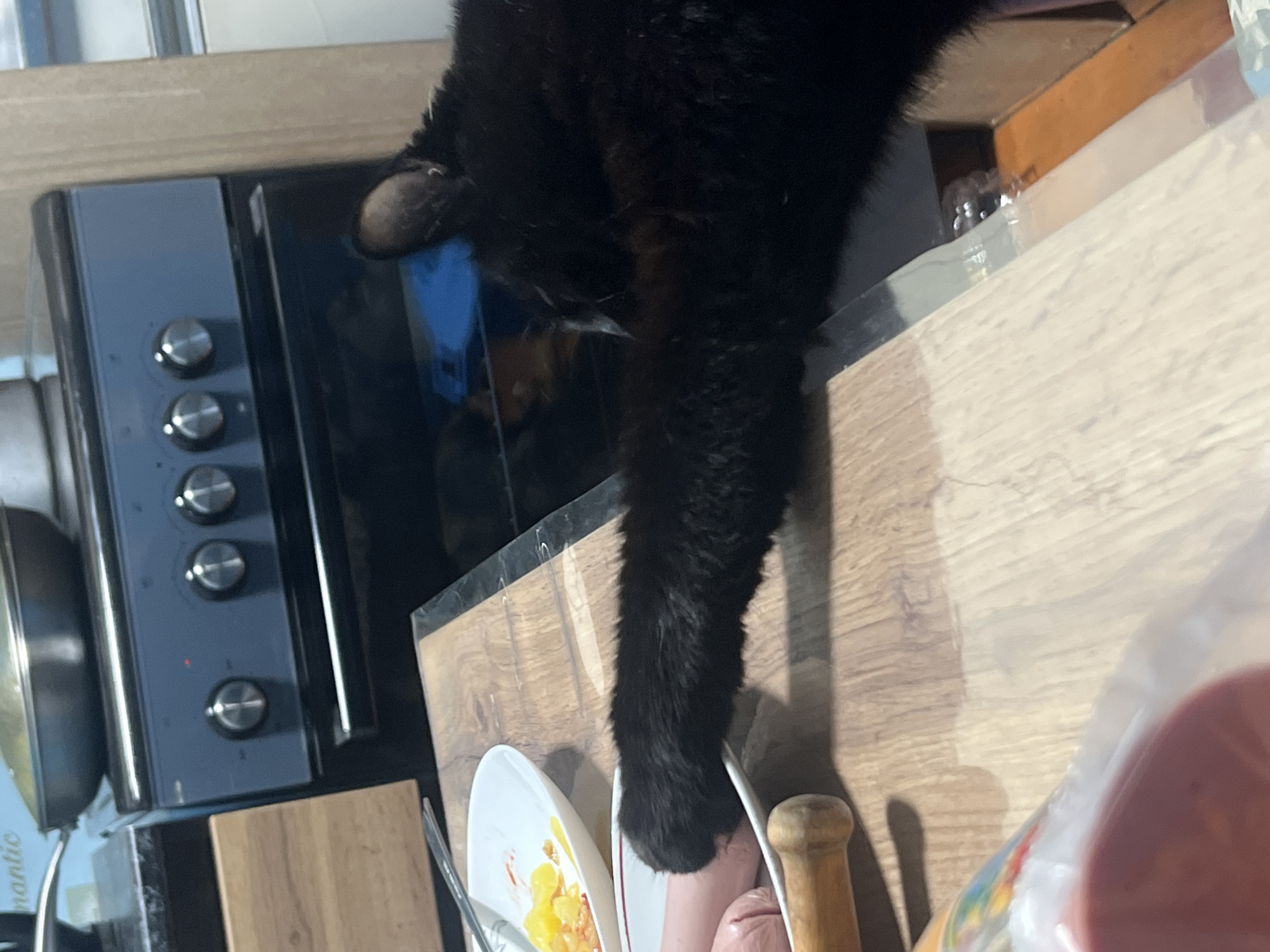 The image provides a close-up, slightly overhead view of a kitchen countertop and appliances, featuring a black cat reaching into the scene. A significant portion of a black cat, including its head and one extended front paw and leg, is visible. The cat's fur appears mostly black, with hints of lighter brown or white fur near its ear and under its chin.
The cat's paw is stretched towards a white plate resting on a light wooden countertop. On the plate, there's a portion of yellowish food, possibly scrambled eggs, mixed with some red sauce or ketchup. Beside this, a pink, sausage-like item is partially visible. A light-colored wooden handle, possibly from a kitchen tool or cutting board, is also on the countertop near the plate. A clear plastic bag or container is on the far right, partially obscuring the view.
In the background on the left, a dark gray or black oven or microwave unit is visible, featuring a control panel with three silver, circular knobs. A faint red light can be seen on one of the knobs. A metal pan is partially visible on the far left. Reflections are present on the surfaces of the appliance and the polished countertop. Partially visible text, "romantic," can be seen on the far left, possibly on an item of kitchen linen or packaging.
The scene is indoors, brightly lit, suggesting either strong artificial lighting or daylight. There are no people visible. The activity captured is the cat's curious investigation of or attempt to access the food on the plate. The location is an indoor kitchen in Nizhny Tagil, Russia.