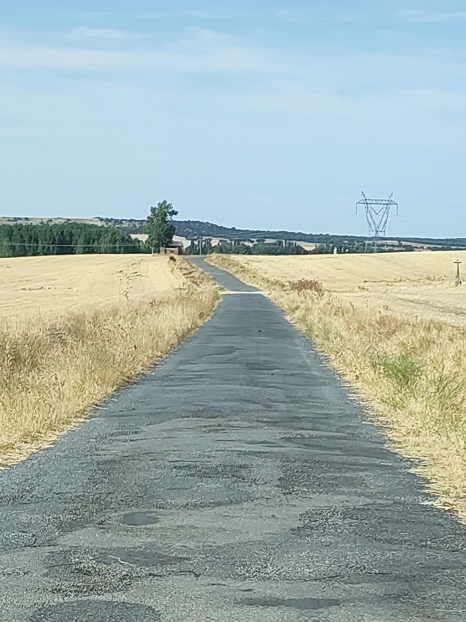 This is a full-shot, vertical, eye-level, outdoor photograph taken on a clear day in the municipality of Marugán, Spain. The image depicts a narrow, paved road that recedes into the distance, flanked on both sides by fields of dry, golden vegetation, likely harvested wheat or barley. The road surface appears weathered and uneven, with some visible potholes and patches.
In the background, a line of trees forms a dark green barrier against the horizon. Beyond the trees, rolling hills are visible under a pale blue sky with scattered white clouds. On the right side of the frame, a tall, lattice-style electricity pylon stands prominently against the sky, indicating the presence of power infrastructure. A single, mature tree stands near the middle ground, to the left of the road, with a small, indistinct structure visible behind it. The overall impression is one of a rural landscape during late summer or early autumn. There are no people or animals visible in the frame.