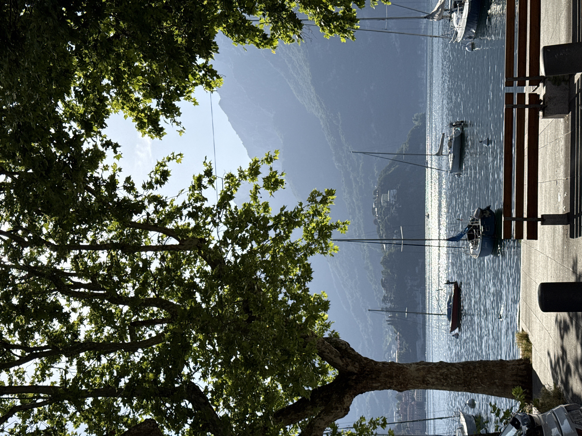 This is a vertical, medium-distance, eye-level shot of a waterfront scene, likely in a European town. The foreground is dominated by the trunk and branches of a large tree with lush green leaves, which frames the upper portion of the image and casts dappled shadows on a paved walkway. A wooden park bench sits on the walkway. Beyond the walkway, a body of water, likely a lake or bay, reflects the sunlight, creating a shimmering effect. Several sailboats are anchored on the water, with masts visible above the surface. In the background, rolling hills covered in trees and dotted with buildings rise up, culminating in misty, blue mountains that fade into the clear, bright sky. The lighting suggests it is a sunny day. No people are visible in the frame.