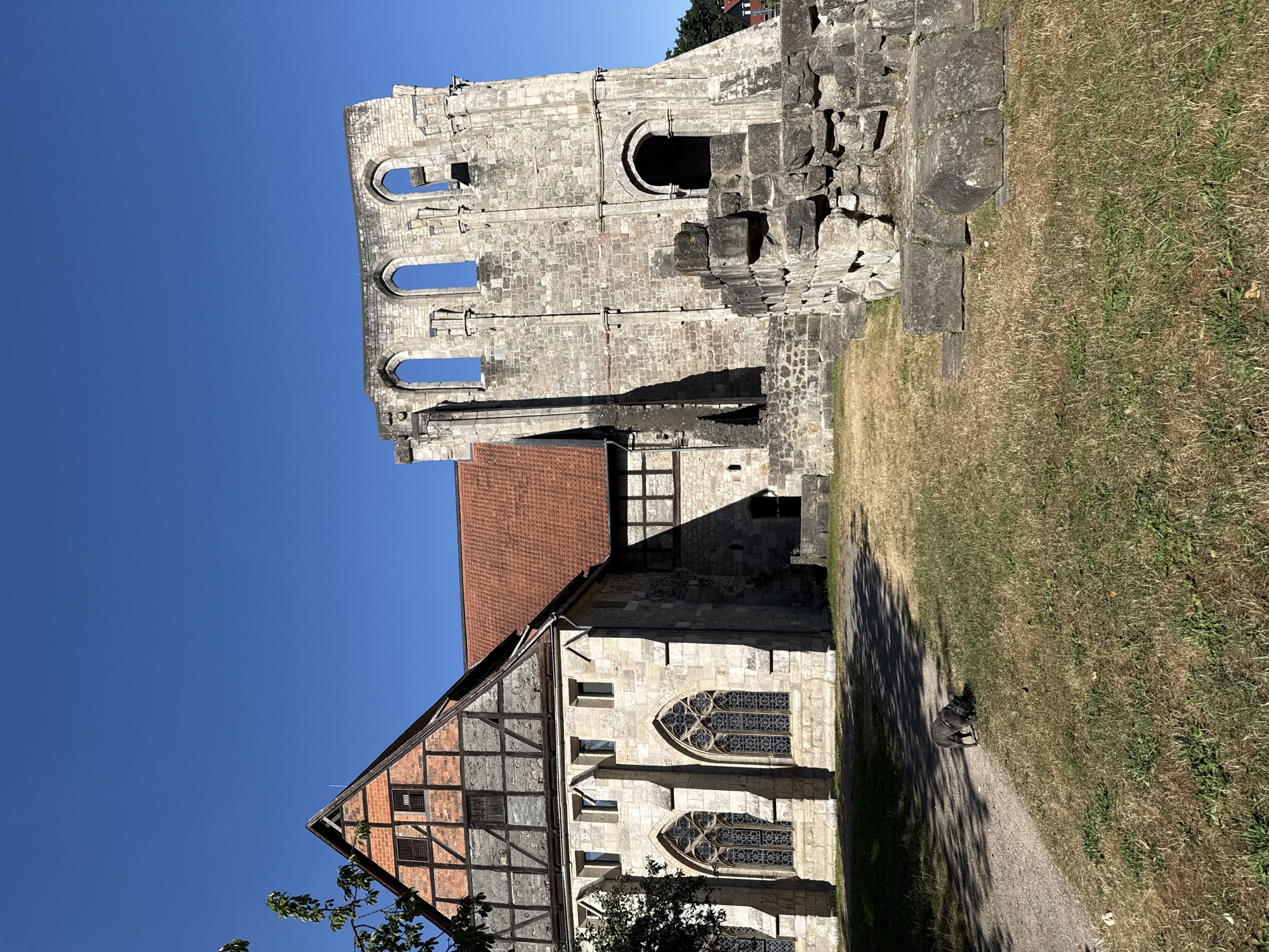 This image depicts the ruins of the Walkenried Abbey in Walkenried, Germany. The scene is dominated by a large, stone structure, partially ruined, with arched openings visible at the top. Adjacent to this ruin is a more intact building with a red tile roof and a gable end constructed of brick and timber framing. Gothic-style windows with intricate tracery are visible on the lower level of the intact building. The ground is covered in dry grass and a dirt path winds through the foreground. A small, dark-colored dog is in the middle ground, appearing to be sniffing the ground. The sky is a clear, bright blue. The lighting suggests it is a sunny day.
