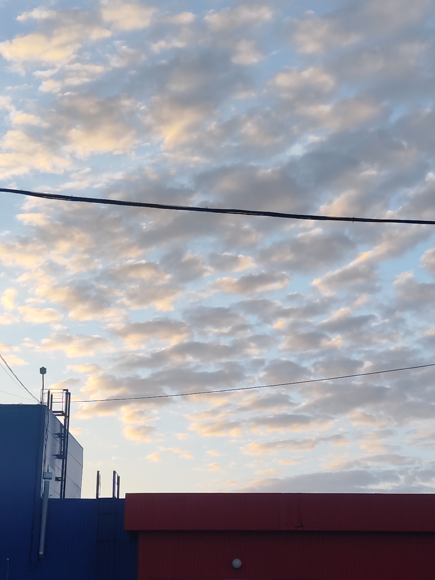 The image shows a sky filled with altocumulus clouds, tinged with yellow light, likely from the rising or setting sun. Two power lines cross the upper portion of the image. Below, a dark blue building is visible on the left with a metal ladder attached to its side. A shorter, darker blue structure sits to the right of the taller building. To the right of that, there is a red building. It's not possible to confirm the location specifically to the city of Chaikovsky, Russia based on the given information.