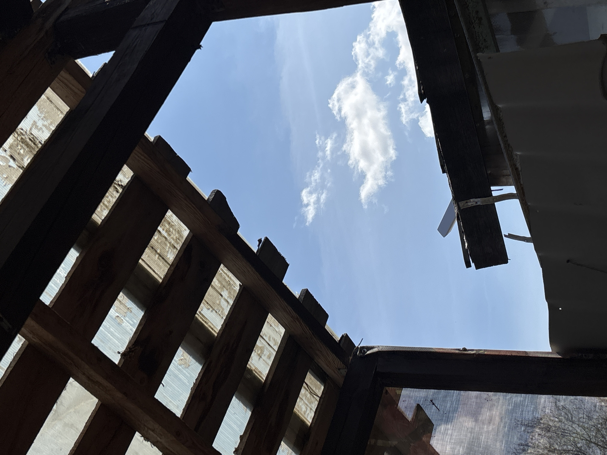 This upward-angled photograph captures a bright blue sky adorned with scattered white cumulus clouds, framed by the dark, silhouetted remnants of a dilapidated or unfinished structure. The perspective is from below, looking directly upwards through an irregular opening.
Dominating the foreground are dark wooden beams and planks, appearing as shadows against the bright sky. On the left and bottom, these wooden elements form a lattice-like pattern, suggesting a ceiling or roof support. Behind some of these wooden slats, lighter, weathered surfaces, possibly corrugated material or peeling paint, are faintly visible.
To the right, a dark, bulky structure, possibly a wall or a large piece of equipment, extends into the frame. A thin, light-colored piece of debris, perhaps plastic or metal, hangs suspended from its edge, silhouetted against the sky. In the bottom right corner, a section of a window or opening covered with a mesh screen reflects fragmented light and what appears to be tree branches or foliage outside.
The bright lighting and clear sky indicate a sunny day, likely midday or early afternoon. The scene evokes a sense of abandonment or deconstruction, with natural light pouring into what was once a covered space. There are no people visible, nor any discernible text. The setting appears to be an outdoor or semi-outdoor location, possibly in Foki, Russia.