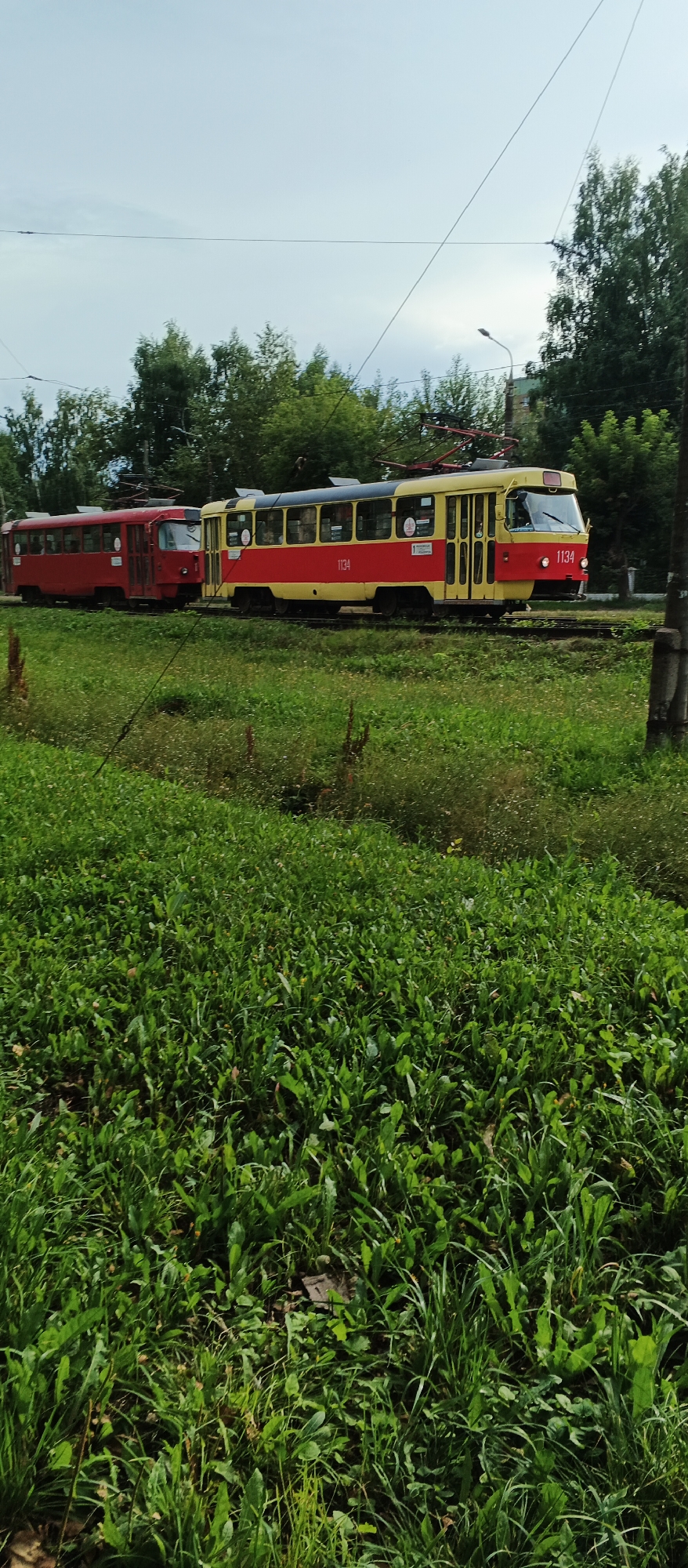 The image depicts two trams on a track, with lush green grass and trees in the foreground and background. The tram on the right is yellow and red with the number "1134" visible, and the tram on the left is red. The sky is overcast with visible power lines overhead. The scene appears to be a tram depot or a scenic route in Izhevsk, Russia, given the visual context of trams and vegetation. The image is captured from a low angle, emphasizing the trams against the natural backdrop.