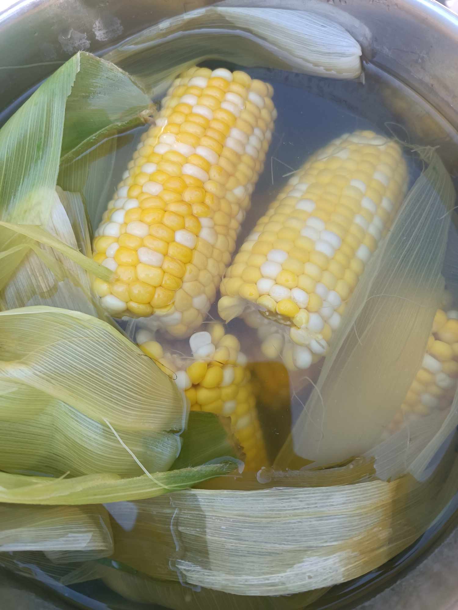 Two ears of bi-colored corn, with husks partially attached, are submerged in water in a metal pot. The corn kernels are yellow and white, and appear plump and fresh. The husks are a light green color and are fanned out in the water. The water is clear, and a few stray silk strands are visible. The pot is stainless steel and has a brushed finish. The lighting suggests an outdoor setting. The image does not contain any information about the city of Zatoka, Ukraine.