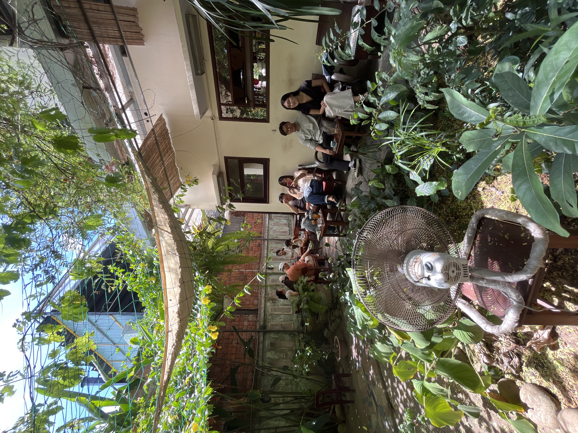 This image depicts an outdoor cafe courtyard in Đà Nẵng, Vietnam, under bright daylight conditions. The space is largely shaded by an overhead canopy composed of light-colored fabric and interwoven bamboo slats, supported by a metal framework, through which dappled sunlight penetrates. The environment is heavily vegetated with dense tropical foliage, including various potted plants, ground cover, climbing vines bearing yellow flowers, and tall bamboo stalks lining the left wall.
On the right side of the scene, a cream-colored building wall features two dark-framed rectangular windows that reflect parts of the outdoor setting. Below these windows are two horizontal, light-colored fixtures, possibly lighting or air conditioning units. The left side of the courtyard is defined by a brick wall partially covered by climbing plants. In the upper-left background, a portion of another building with corrugated metal siding and a dark roof is visible.
Several groups of patrons are seated at small, dark wooden tables on matching chairs and benches. In the middle-left background, approximately five individuals, including a man wearing an orange shirt and a small child, are gathered around a table with beverages. In the middle-right, four individuals are seated. A woman with dark hair and glasses, wearing a black top and light-colored wide-leg pants, sits to the right of a man with dark hair and glasses, who is wearing a light grey collared shirt. Both are seated on wooden chairs around a small table with drinks. To their left, another woman in a white top and blue jeans, and a man in a dark t-shirt, are using mobile phones.
In the immediate foreground, a large, vintage-style floor fan with a metal cage and a light-colored plastic body is situated on a small dark wooden stool. The fan's support base is wrapped in white fabric. The ground surface is a mix of exposed soil, small stones, and scattered fallen leaves, with some areas showing moss and low-growing plants. The individuals present are engaged in relaxation, conversation, and interaction with personal electronic devices within this verdant, shaded cafe setting.