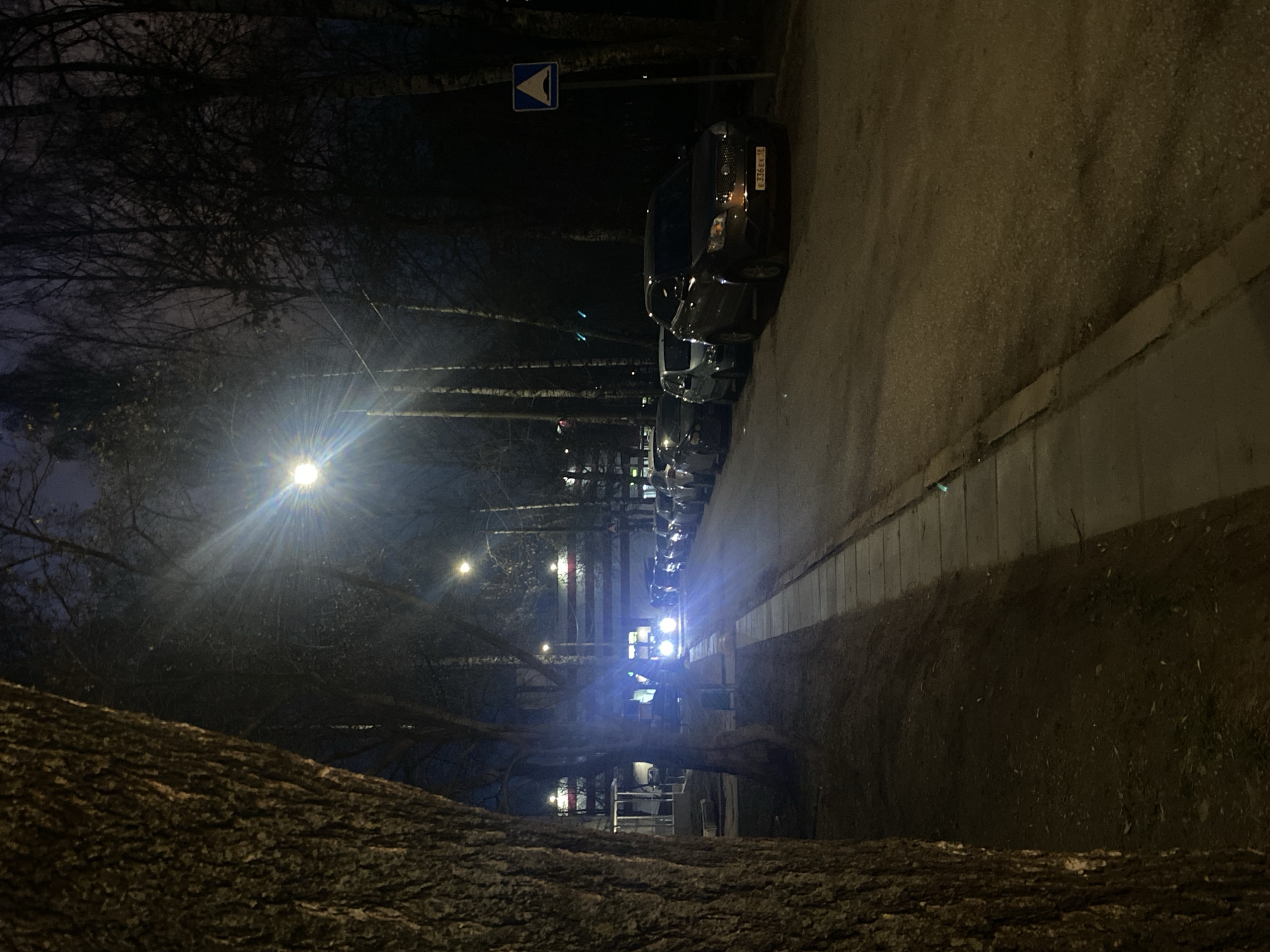 The image depicts a street scene in Izhevsk, Russia, at night. Cars are parked along the right side of the road, illuminated by streetlights. A blue and white road sign is visible near the cars. A tree trunk occupies the foreground. Streetlights are lined up down the road. Bare trees are visible in the background against a dark sky. The license plate of a car closest to the viewer reads "E 336 EX".
