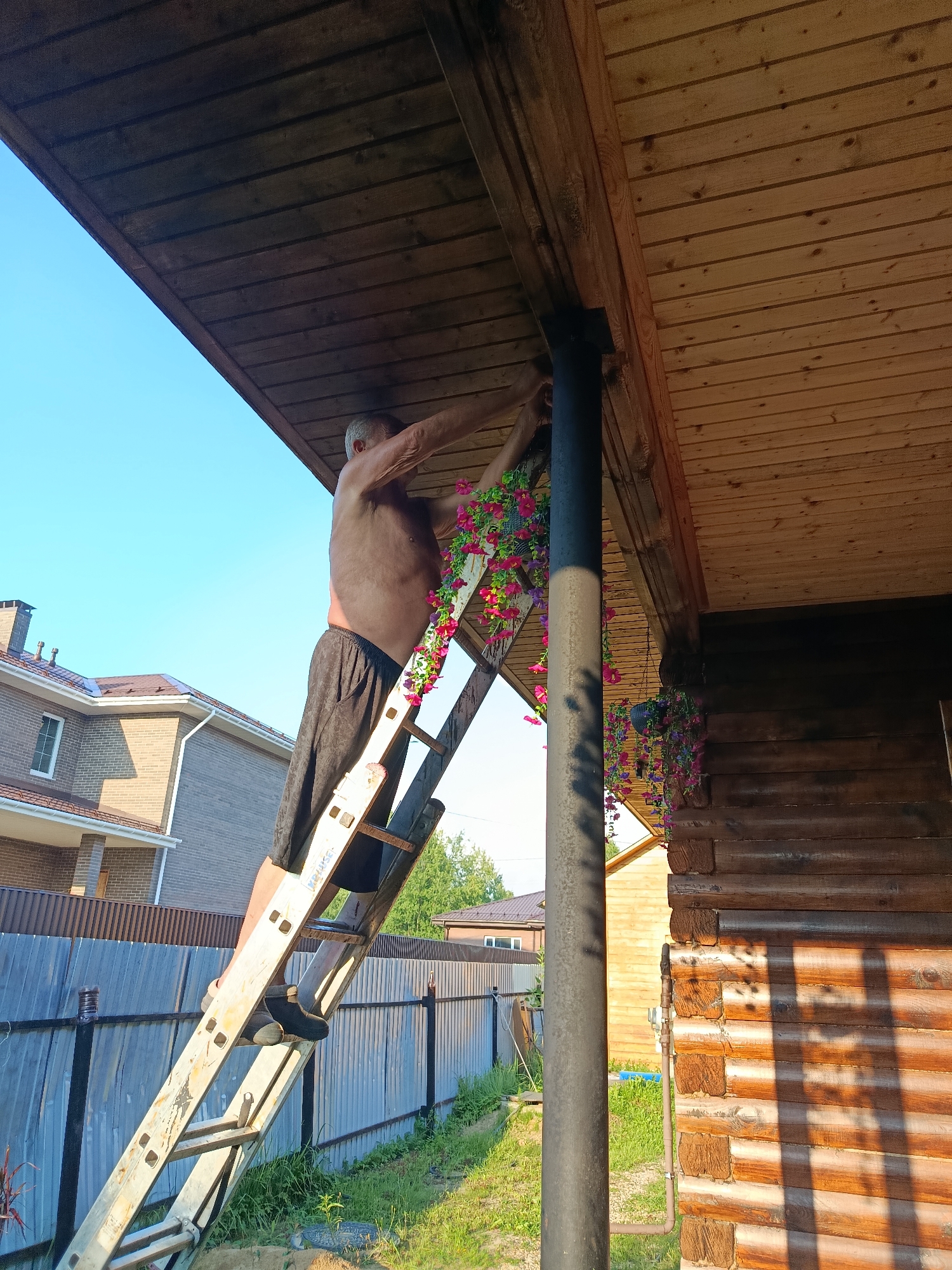 In Vereya, Russia, an unclothed man ascends a ladder positioned against the wooden eaves of a rustic log cabin. He is in the process of tending to hanging floral arrangements. The scene unfolds outdoors on a clear, sunny day, with a bright blue sky overhead. Adjacent to the log cabin, a modern brick house with a brown roof is visible, separated by a metal fence. The ground surrounding the cabin is covered in lush green grass.