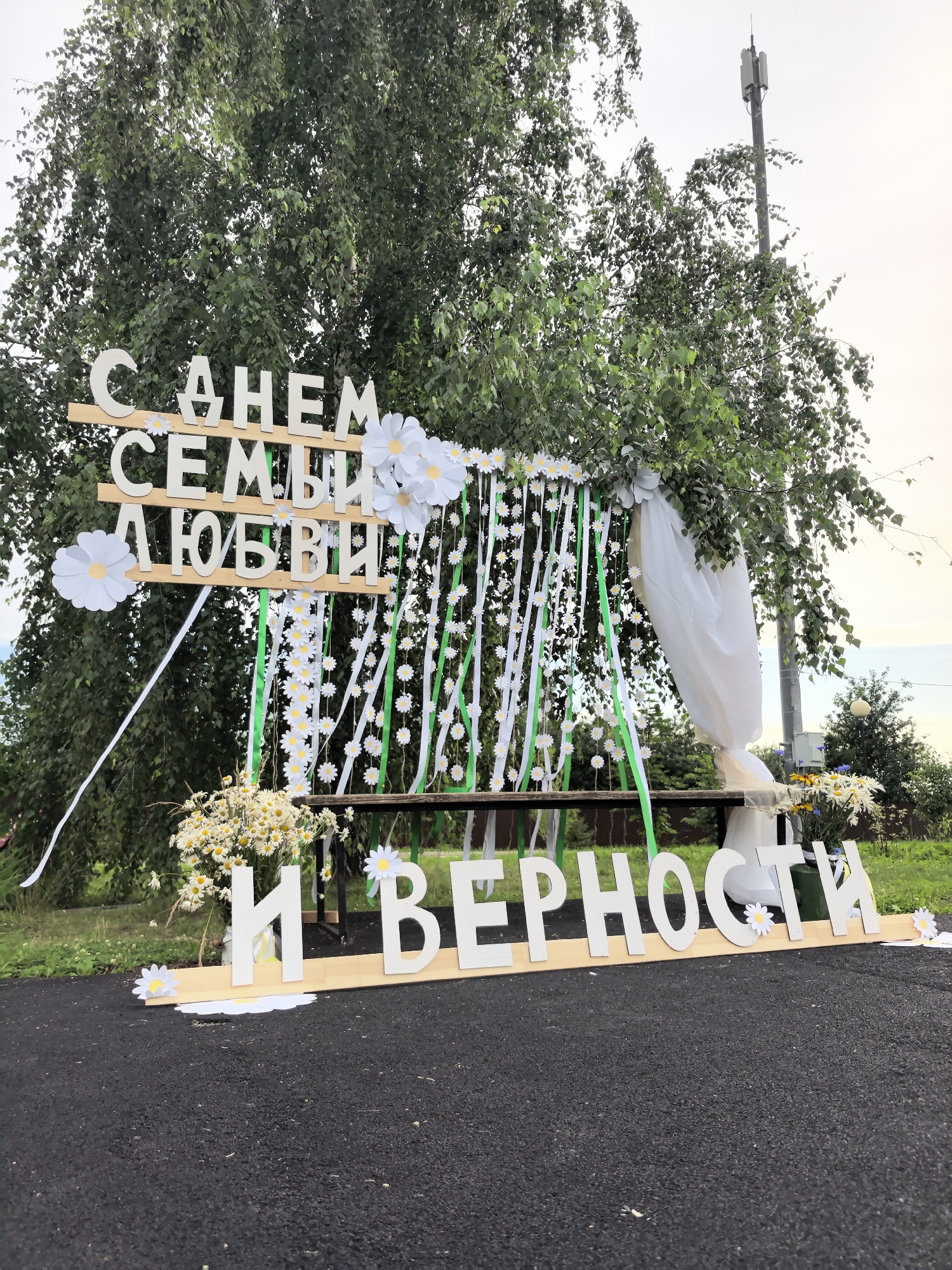 In the city of Froly, Russia, a festive outdoor decoration is set up beneath a large birch tree. The main subject is a wooden sign with large white letters spelling out "С ДНЕМ СЕМЬИ ЛЮБВИ И ВЕРНОСТИ" (Happy Family Day, Love and Loyalty). The sign is adorned with paper daisies and white and green ribbons, creating a cheerful and celebratory atmosphere. Behind the sign, a wooden bench is visible, draped with white fabric and decorated with more ribbons and daisies. A bouquet of daisies sits on the ground in front of the bench. The background features lush green trees and a bright sky, with a cell tower visible in the distance. The ground in the foreground is covered with dark asphalt.