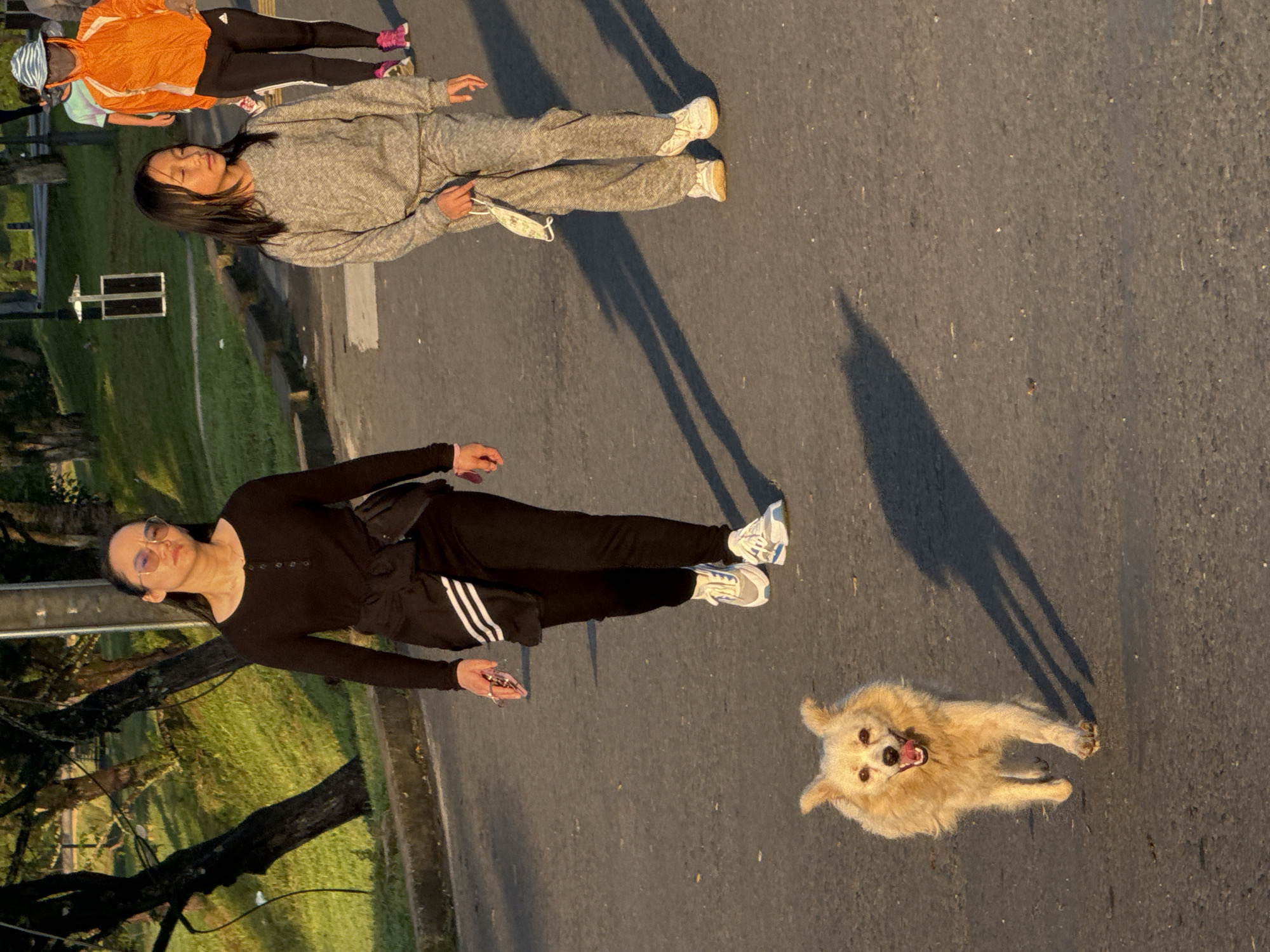A light-colored dog with its mouth open and tongue out is trotting towards the camera on an asphalt path. Behind the dog, a woman in a black long-sleeved shirt and black pants walks away from the camera. A younger girl in a grey tracksuit is walking in the same direction, holding a white surgical mask in her right hand. In the background, another person wearing an orange jacket and black leggings walks away from the camera. The scene is set in a park-like environment with trees and grassy slopes. The lighting suggests it is late afternoon or early morning, casting long shadows. The location is identified as Xuân Hương Lake in Da Lat, Vietnam.